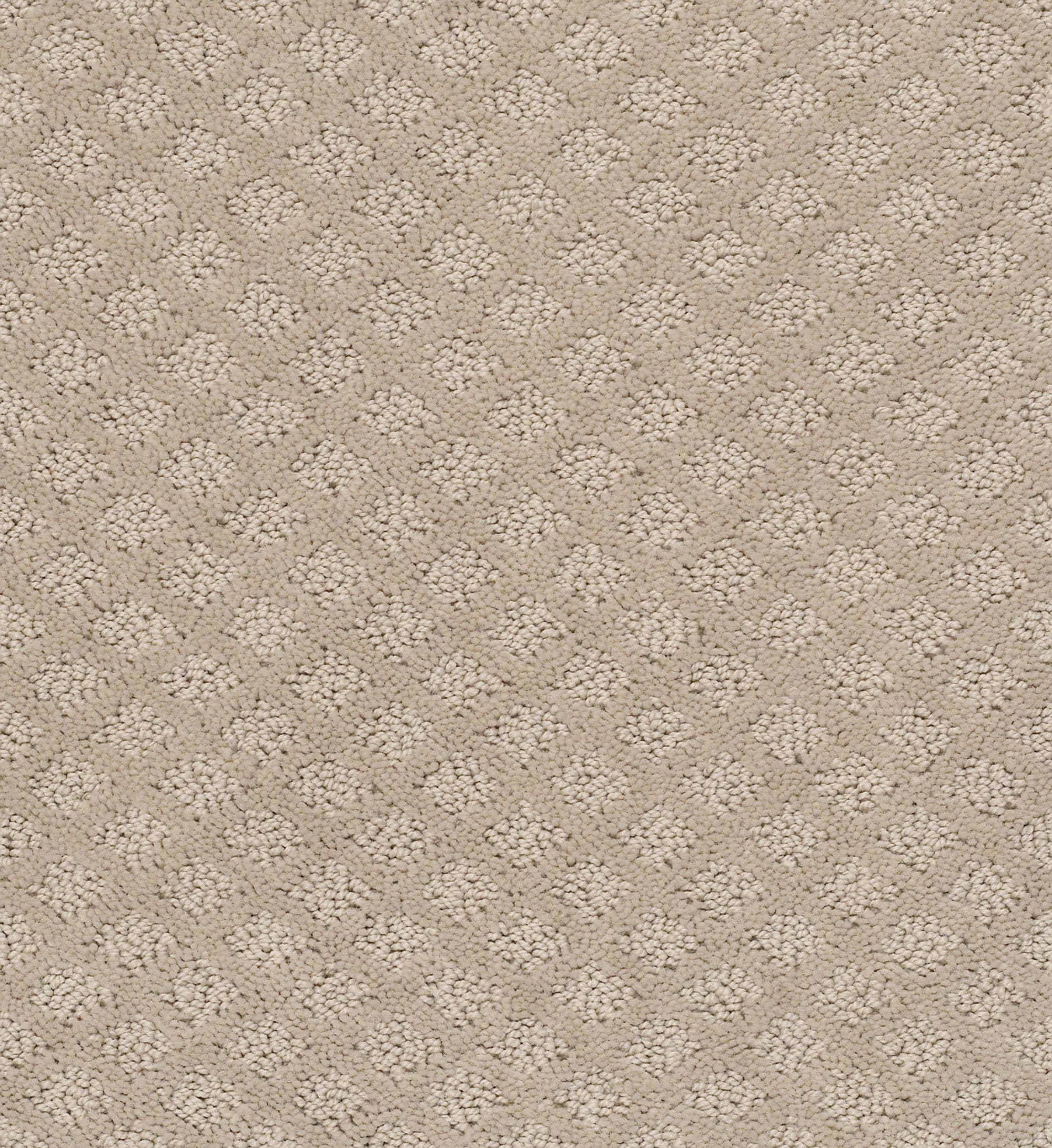 STAINMASTER 7L90400173 Belmont Blvd Studio Taupe Brown 25-oz sq yard Nylon Pattern Indoor Carpet