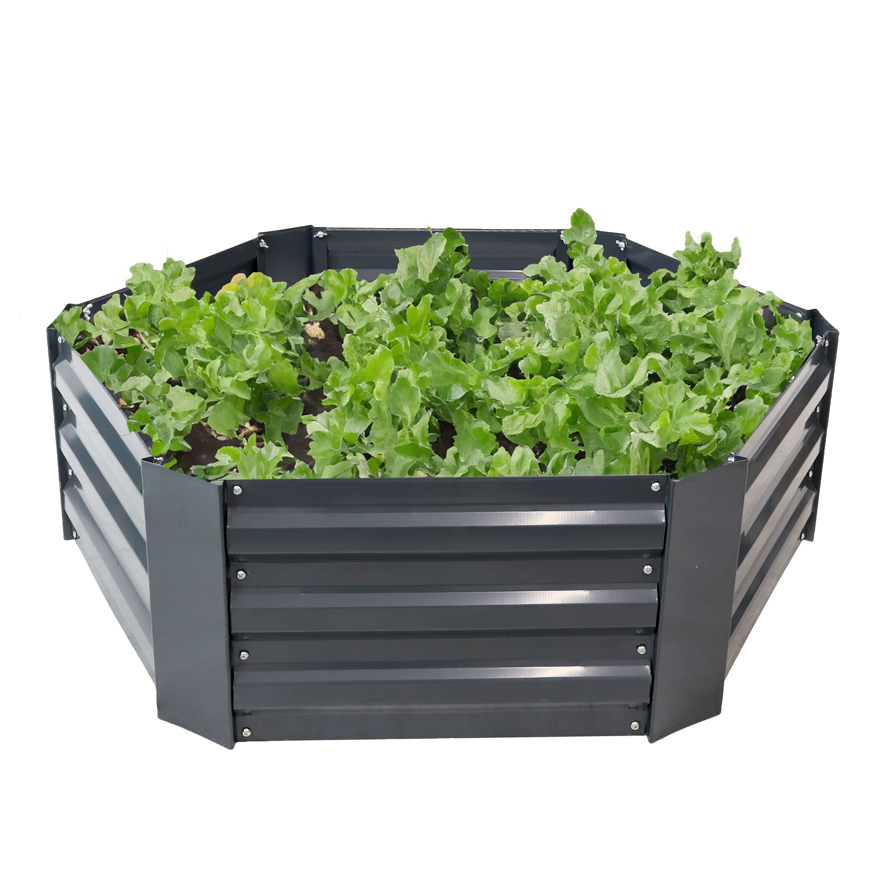 Sunnydaze Decor HB-543 Raised-Garden-Beds - View #8