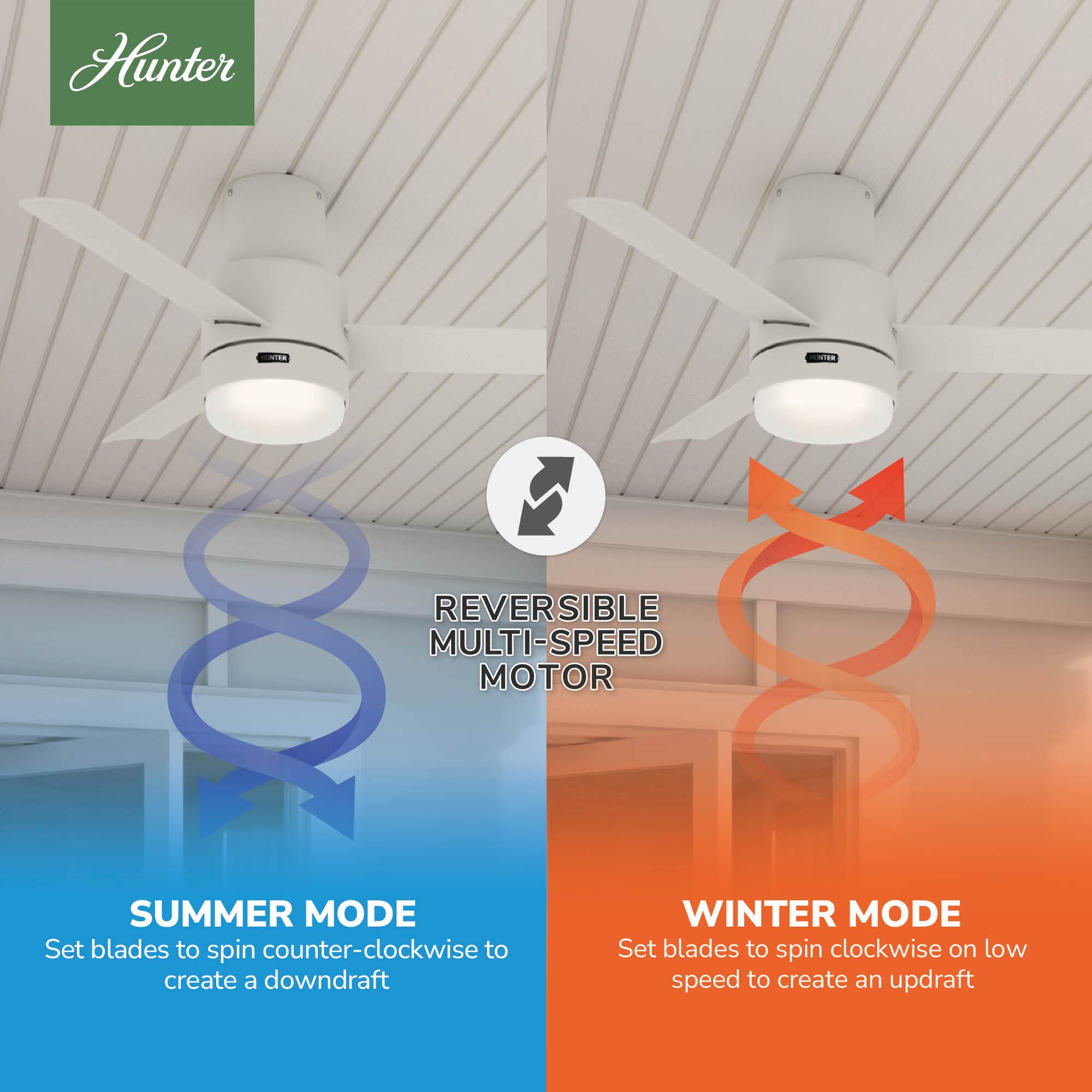 Hunter 51334 Ceiling-Fans - View #8