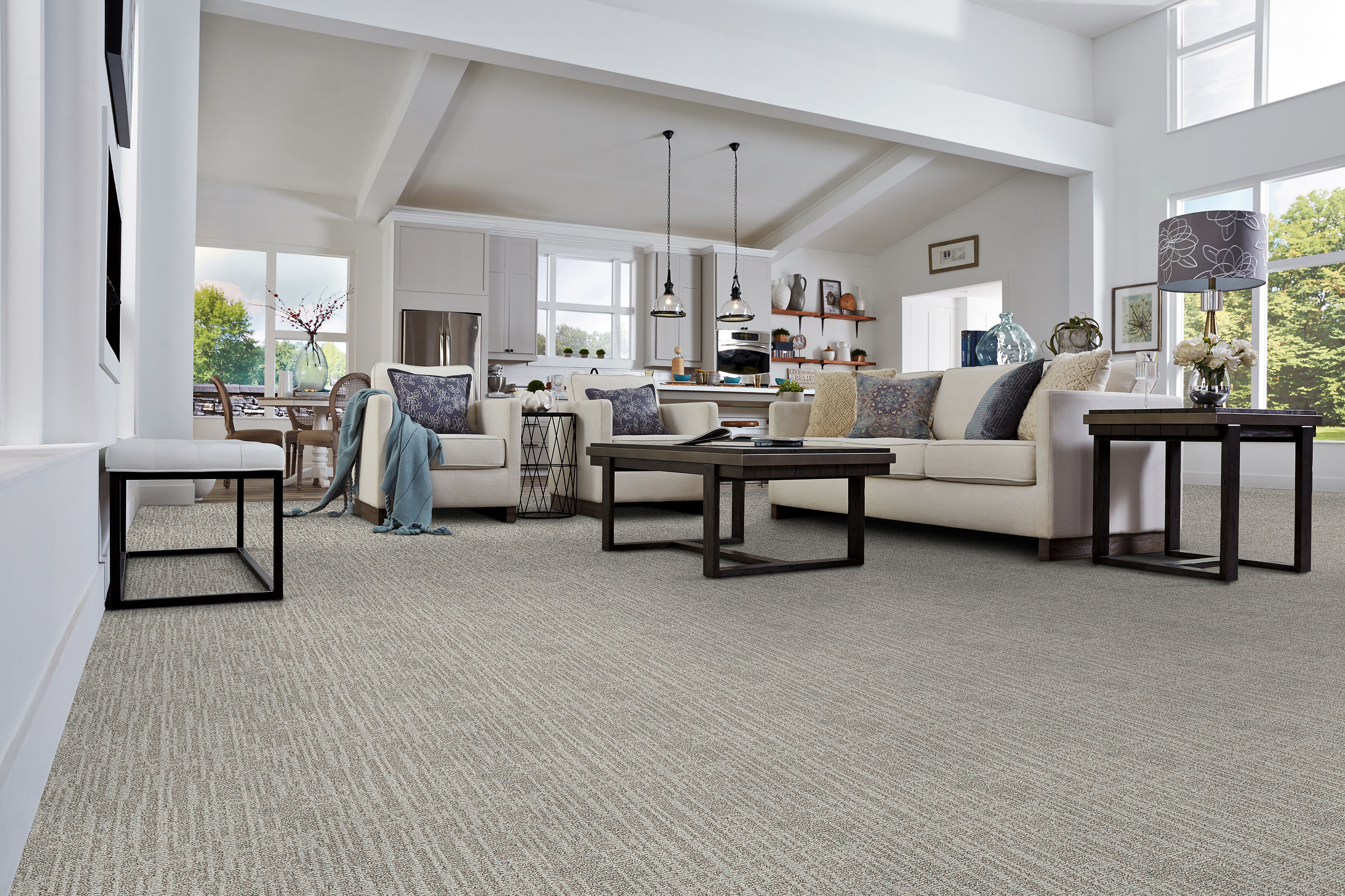 STAINMASTER 8811-111S Carpet-Samples - View #2