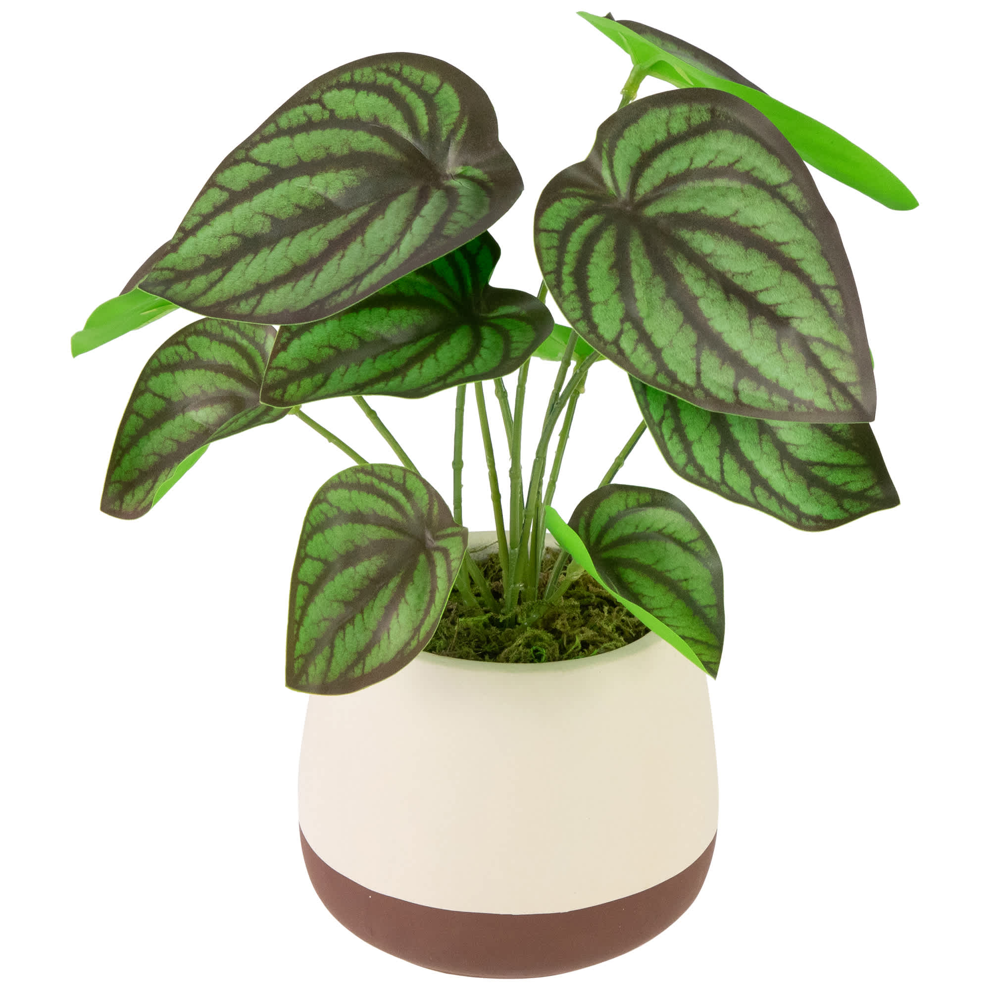 Northlight NORTHLIGHT SM99512 Artificial-Plants-Trees - View #3