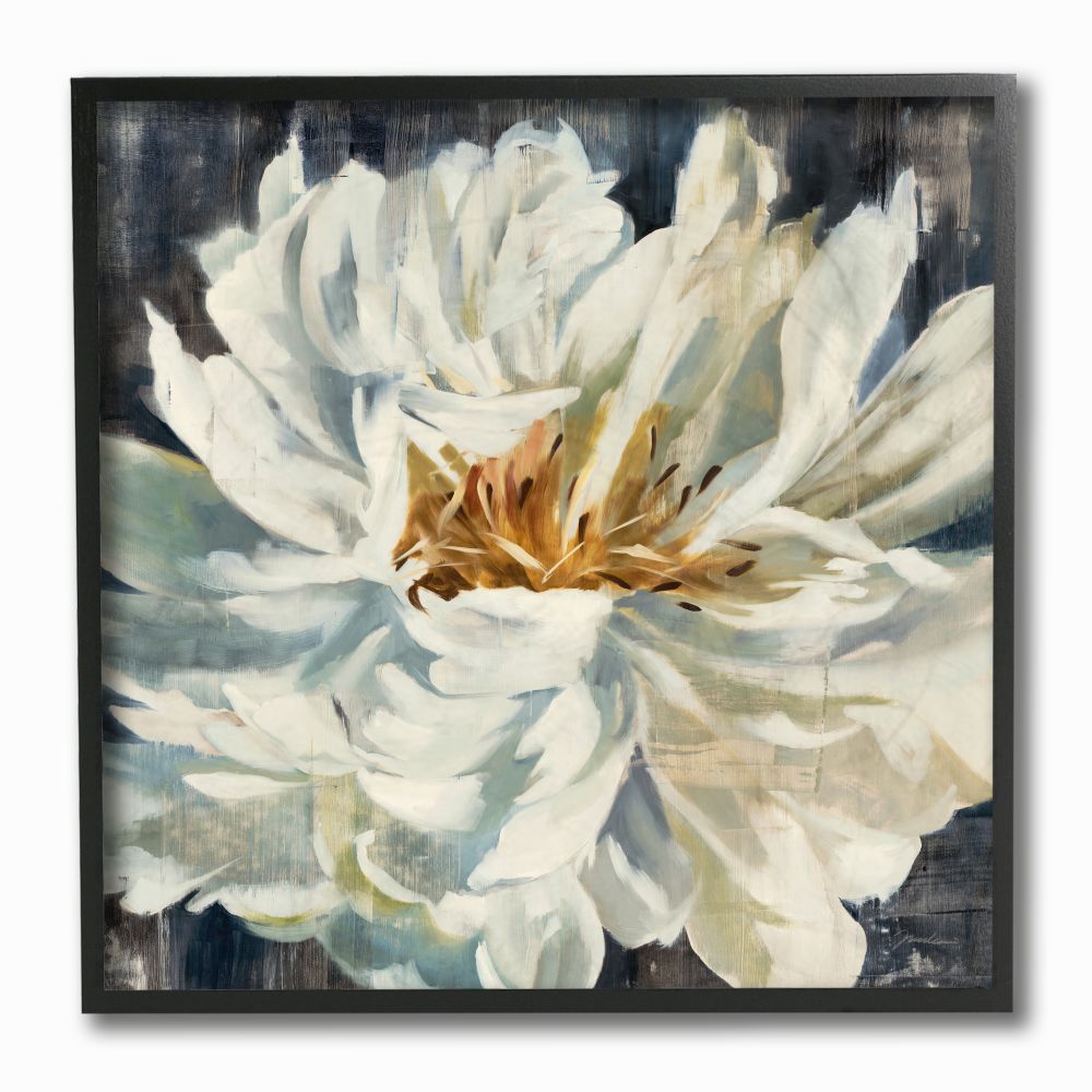 Stupell Industries Stupell Industries Organic Blooming White Petals With Rustic Charm Black Framed Giclee Texturized Art By Third And Wall 12 X 1 5 X 12 In The Wall Art Department At Lowes Com