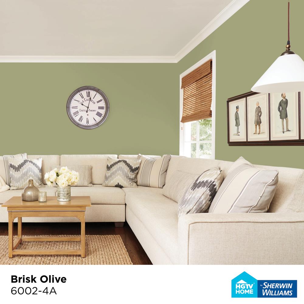 HGTV HOME by Sherwin-Williams 6002-4A-2557215 Int-Ext-Paint - View #3