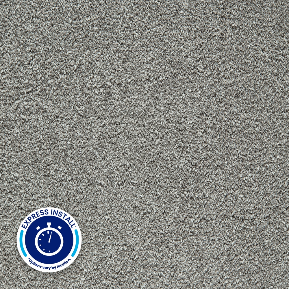 STAINMASTER PetProtect with LeakDefense Pleasant Partner II CUMULUS Gray 60-oz sq yard Polyester Textured Indoor Carpet