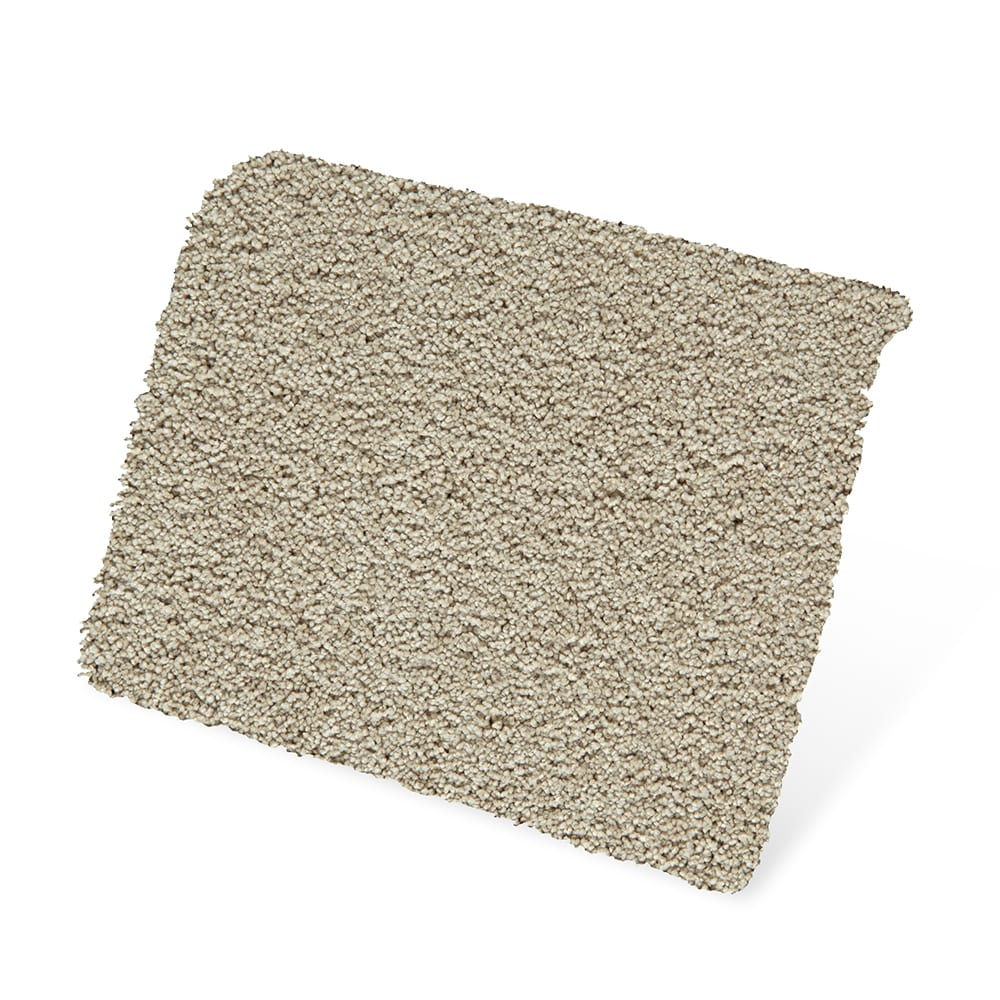 STAINMASTER SS079-12-L003 Carpet-Panel - View #3