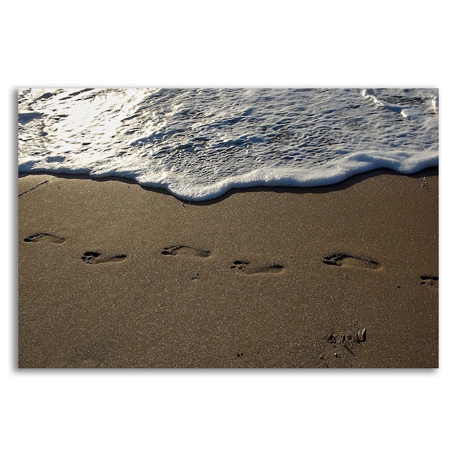 Tangletown Fine Art Footprints Lynda White 24-in H x 36-in W Coastal ...