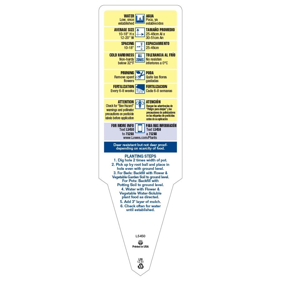Lowe's 560004 annuals - View #10