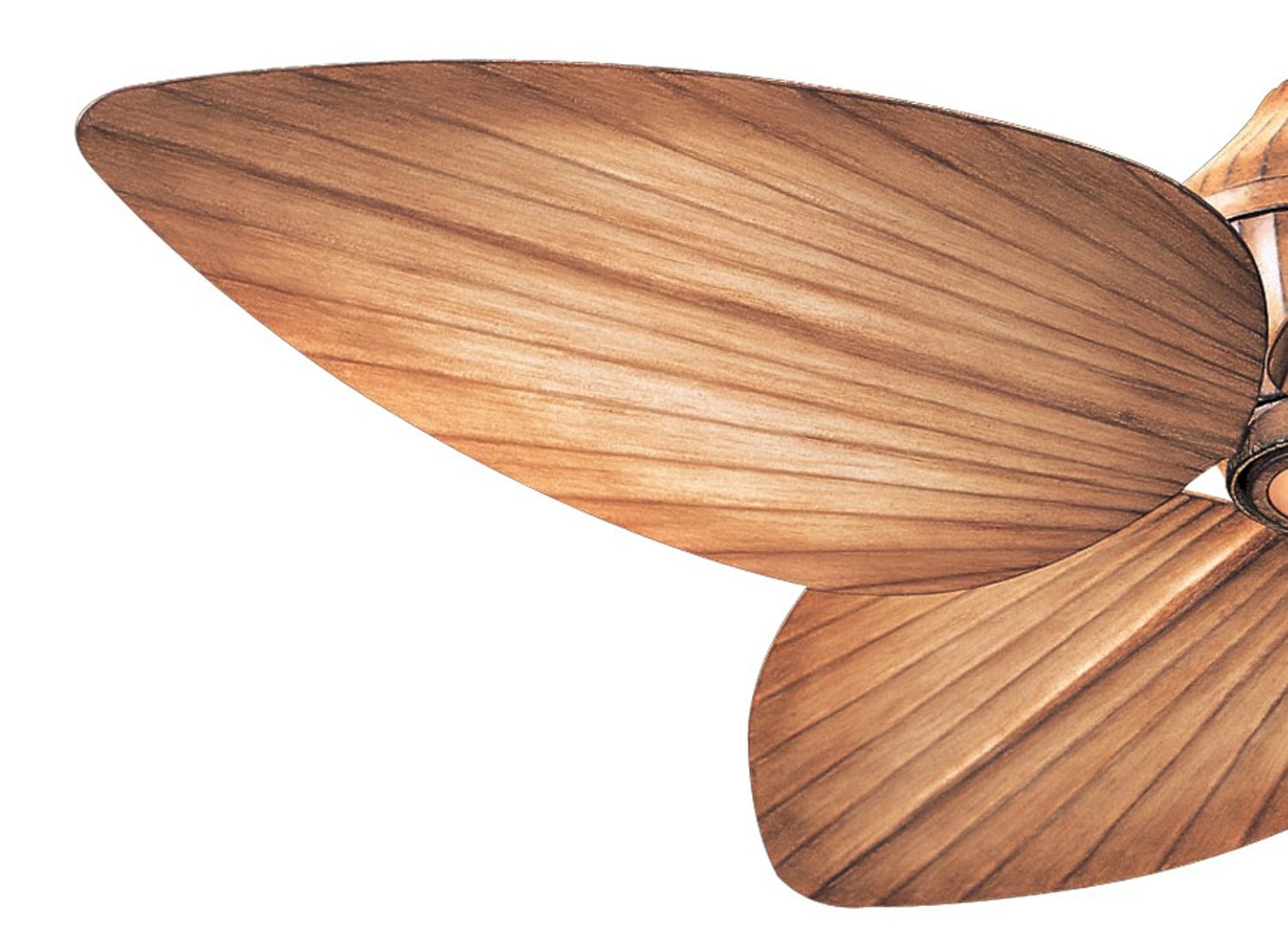Minka Aire F581L-BG Ceiling-Fans - View #4