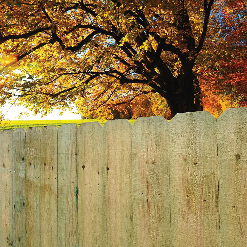 Severe Weather 58606MADEL Fence-Pickets - View #6