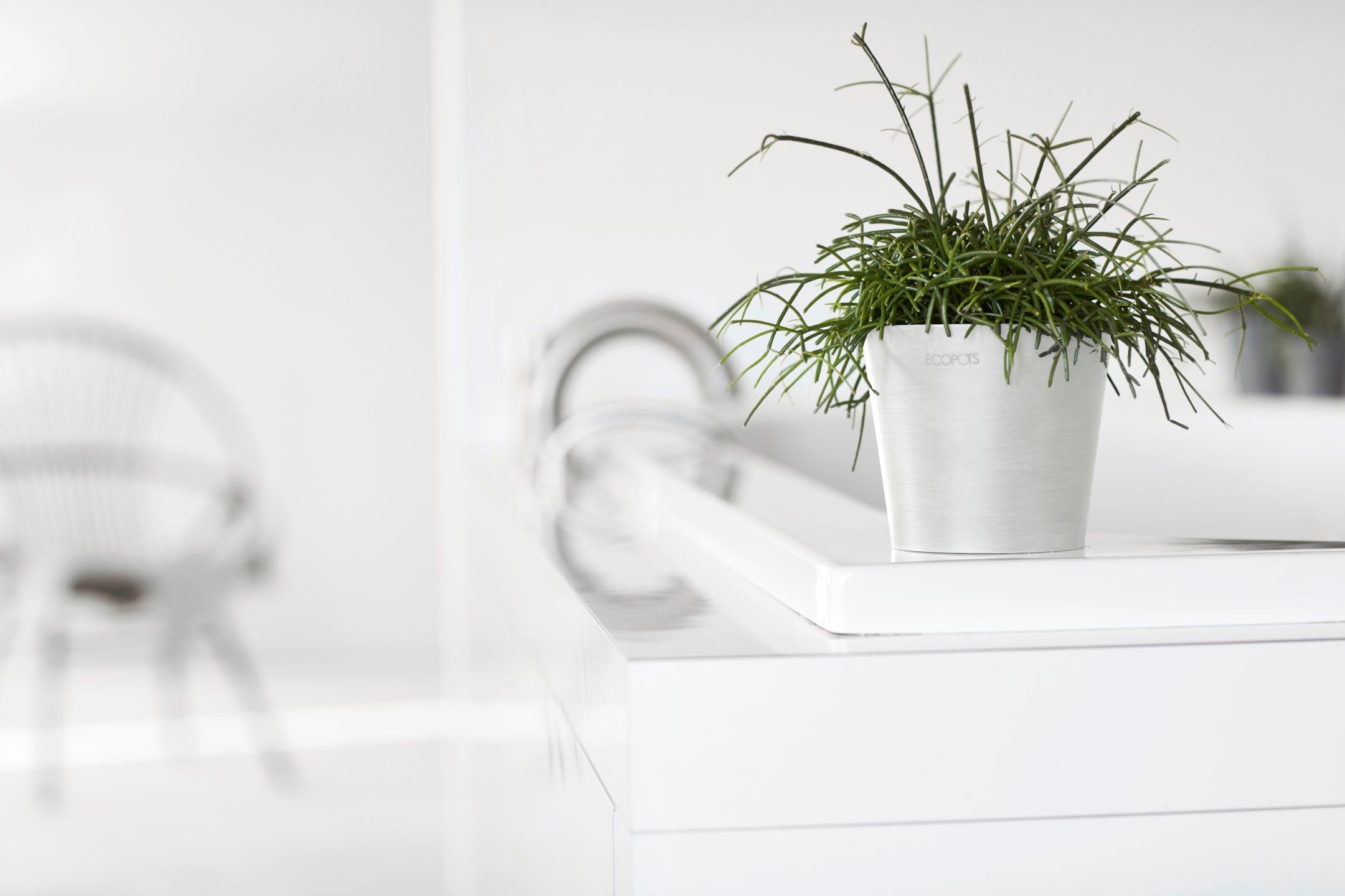 ECOPOTS 5413724325291 Planter-Window-Box - View #3