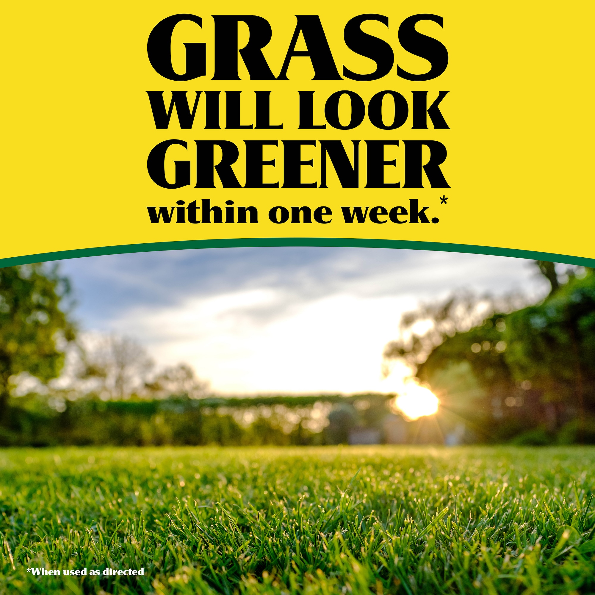Ironite 2149601359 Lawn-Fertilizer - View #6