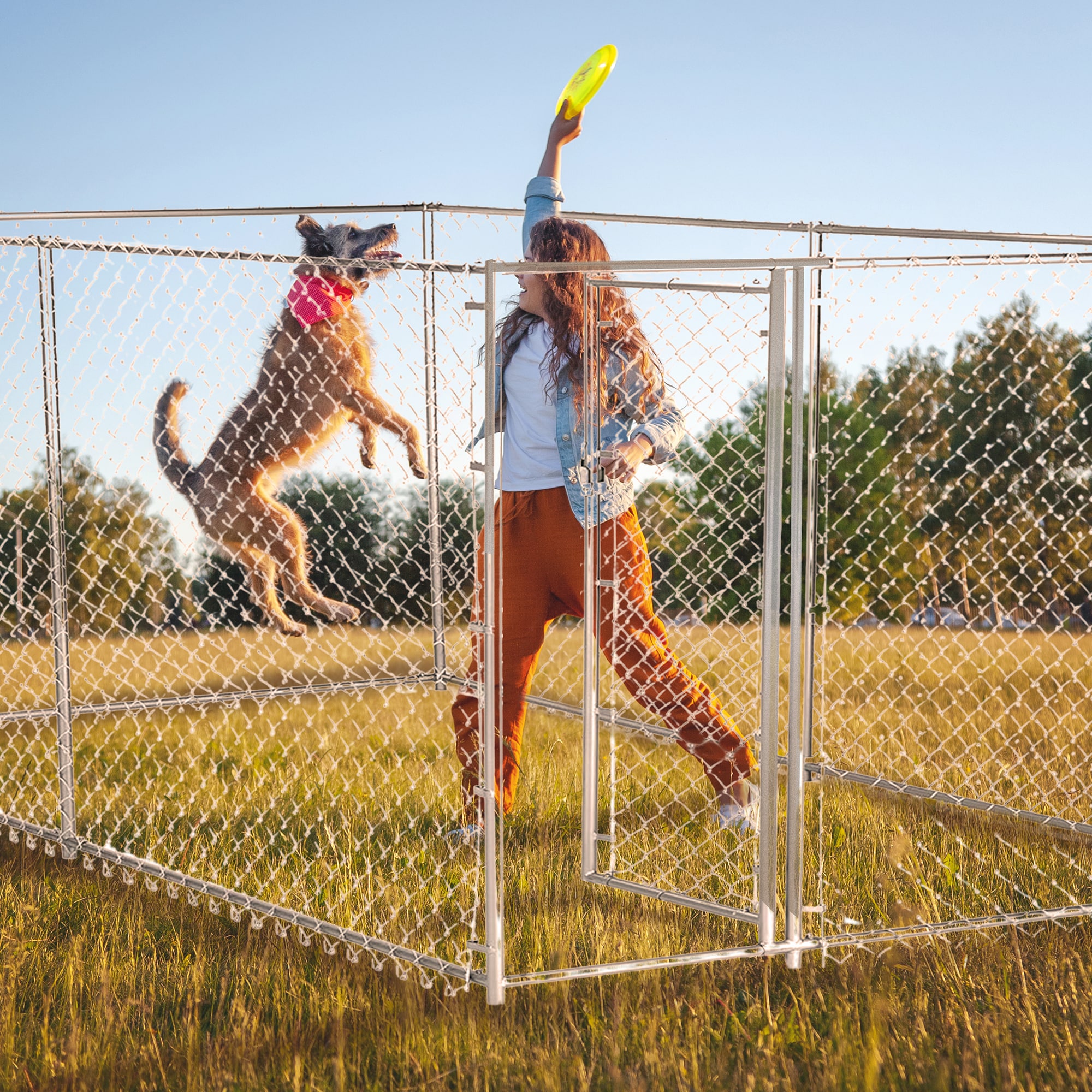 Lucky Dog 117258 Pet-Crates-Carriers - View #5
