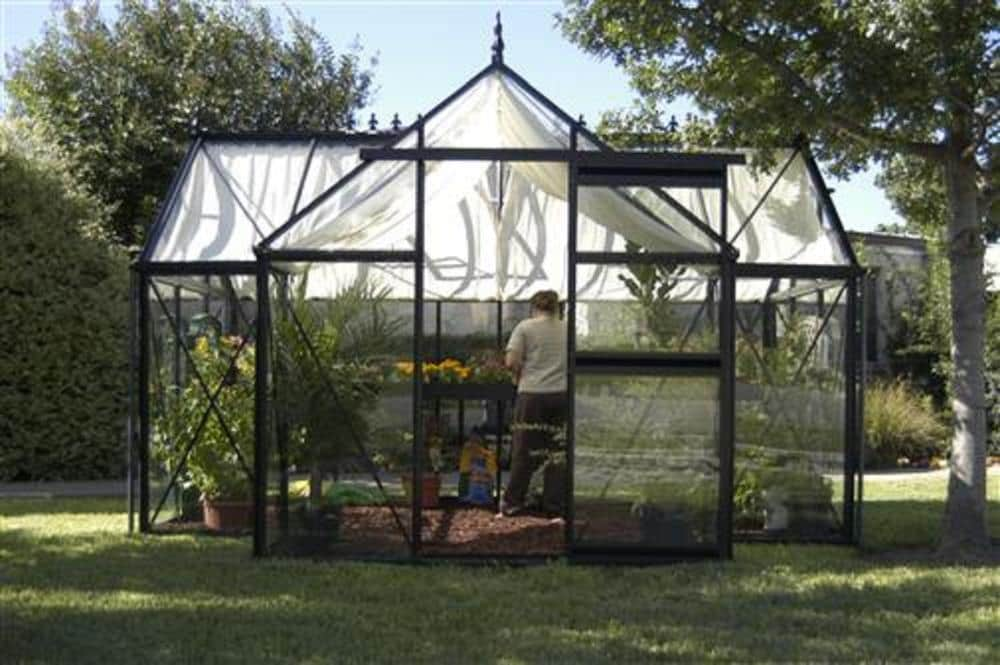 Janssens Junior Orangerie 12.5-ft L x 7.75-ft W x 8.167-ft H Black ...