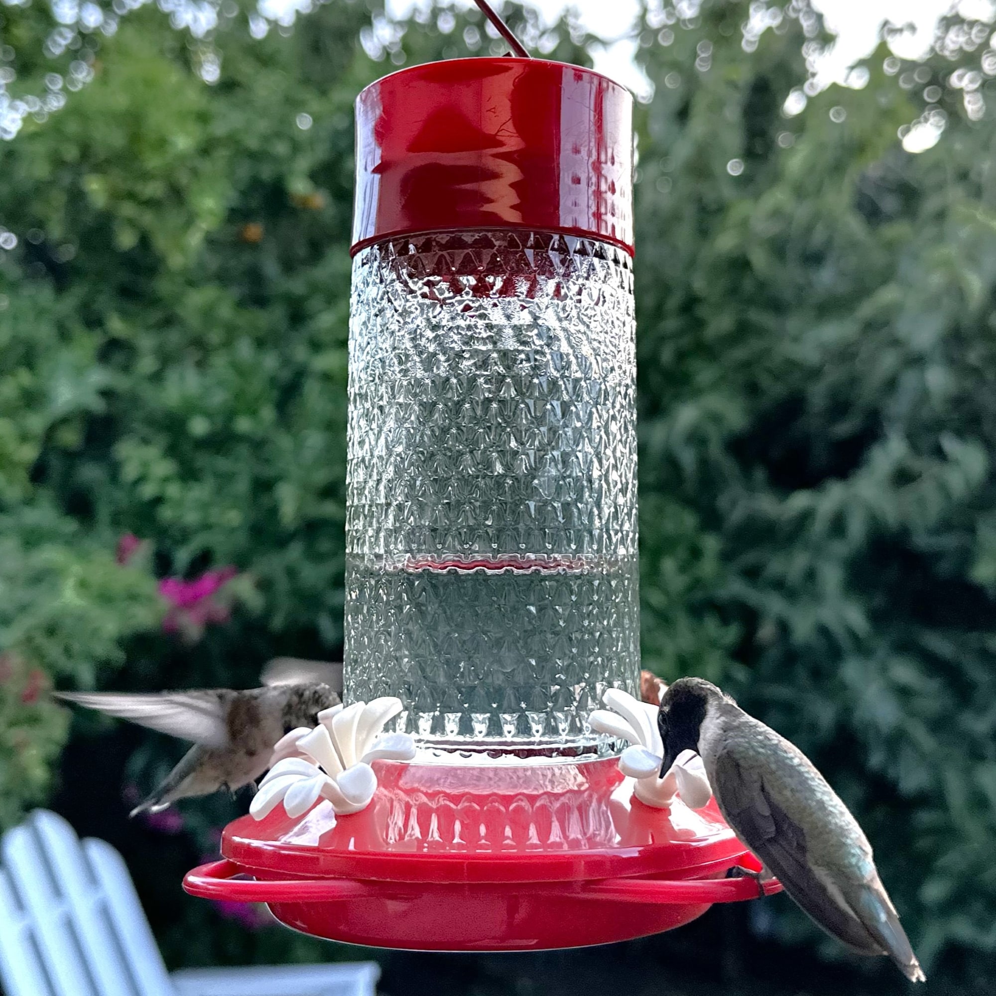 Style Selections TGF3-SS1 Bird-Feeders - View #4