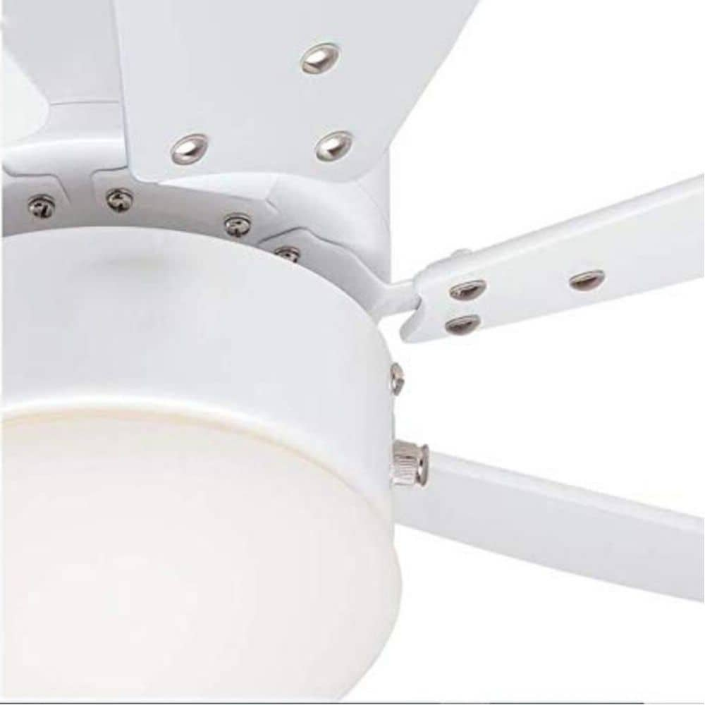 Ciata 30-in White Indoor Ceiling Fan with Light (6-Blade) in the 