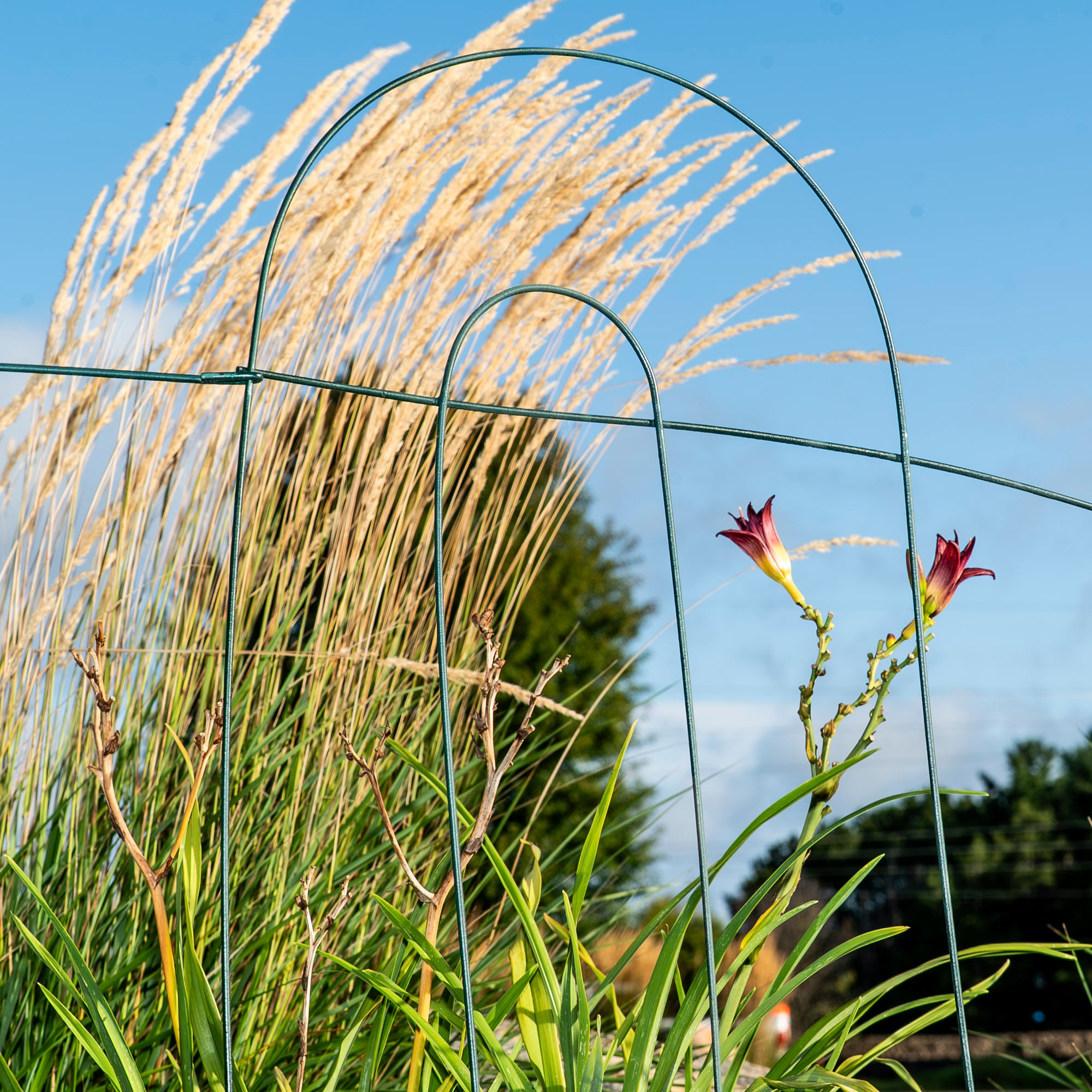 Glamos Wire 777009-12 Garden-Utility-Fencing - View #4