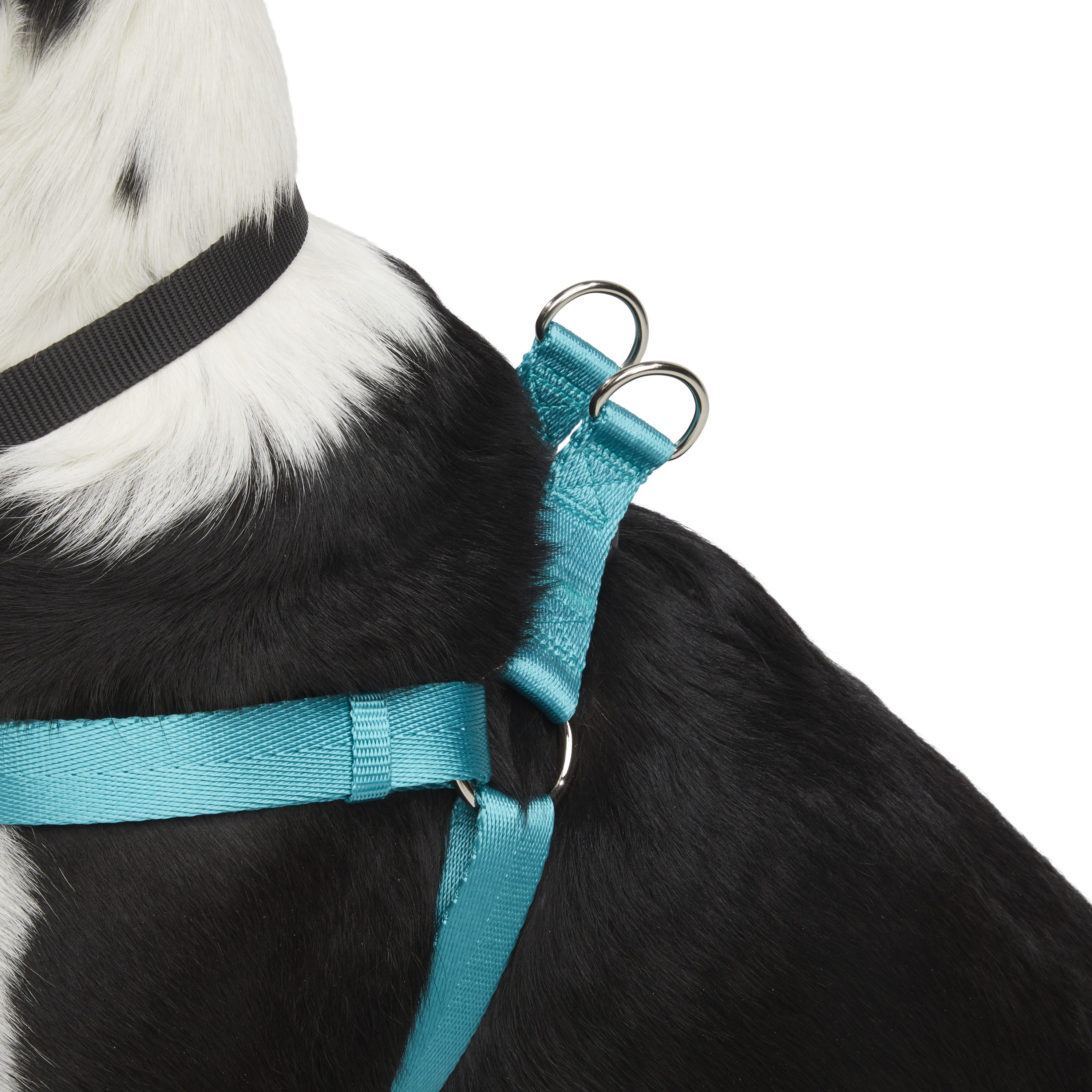 Luxury Dog Harness | Dog Harnesses | L'élianne ®