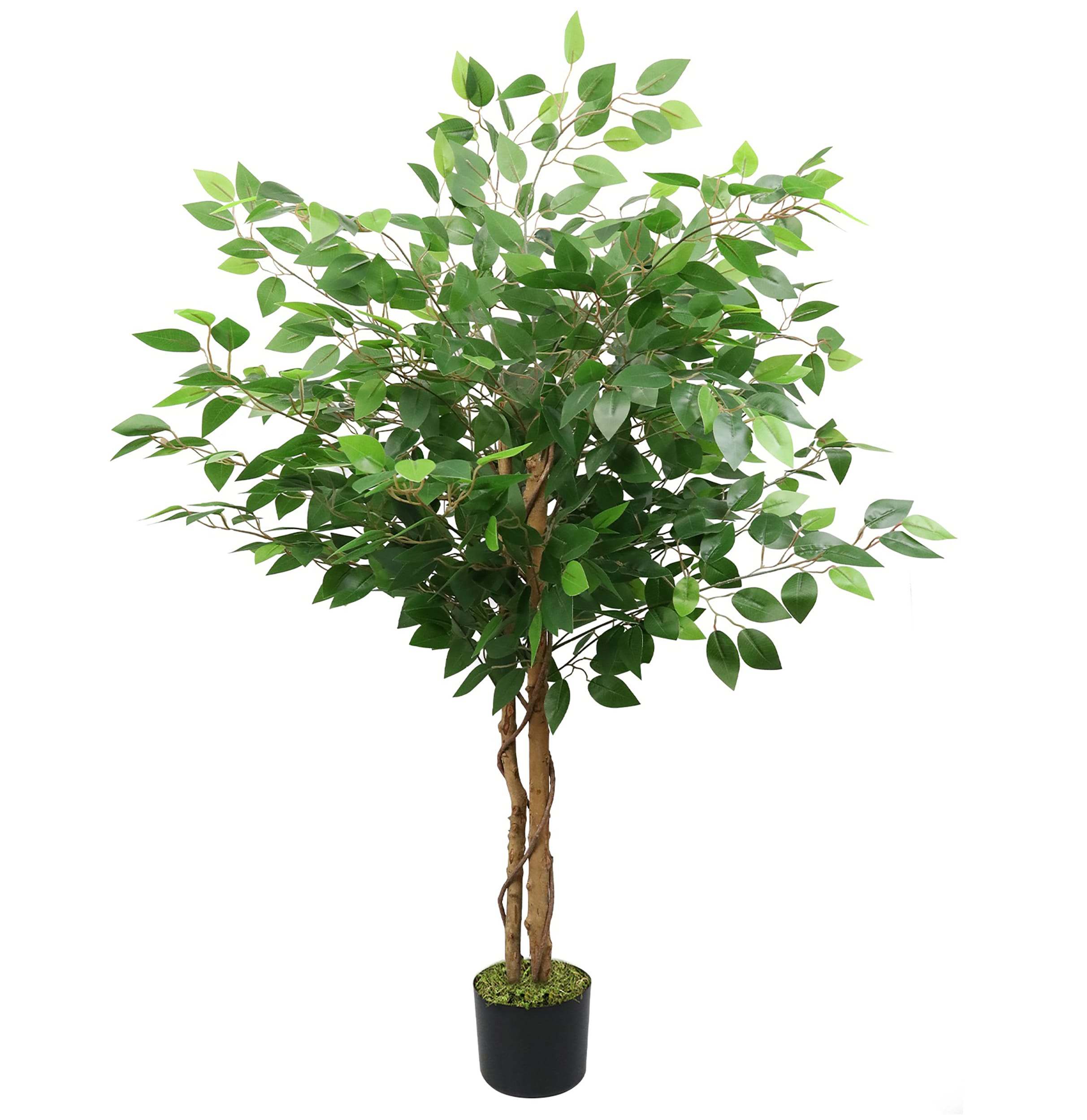 HomLux A31-TAT 60-in Green Indoor/Outdoor Floor Fiddle Leaf Artificial tree