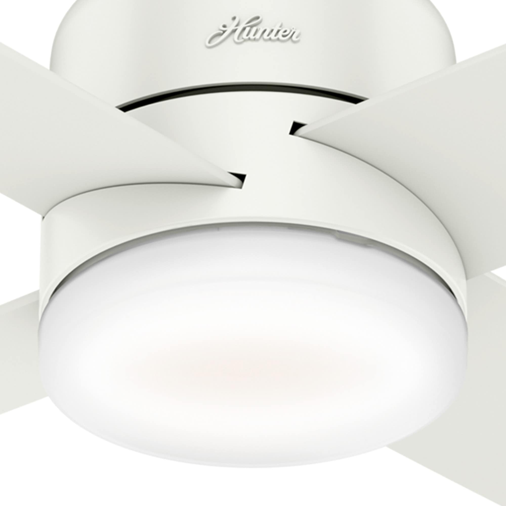 Hunter 59365 Ceiling-Fans - View #13