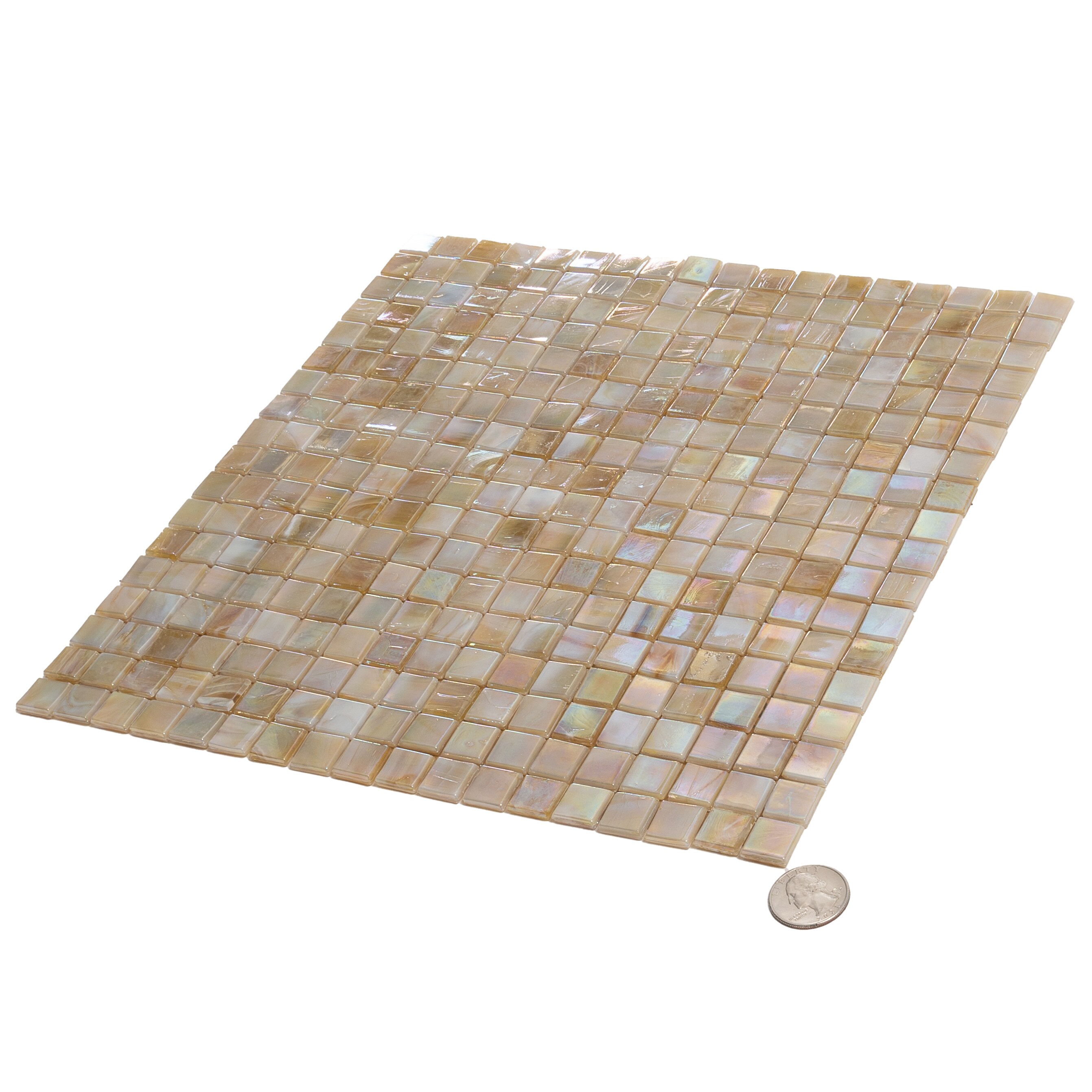Apollo Tile APLNB88BG328A Ceramic-Tile - View #3