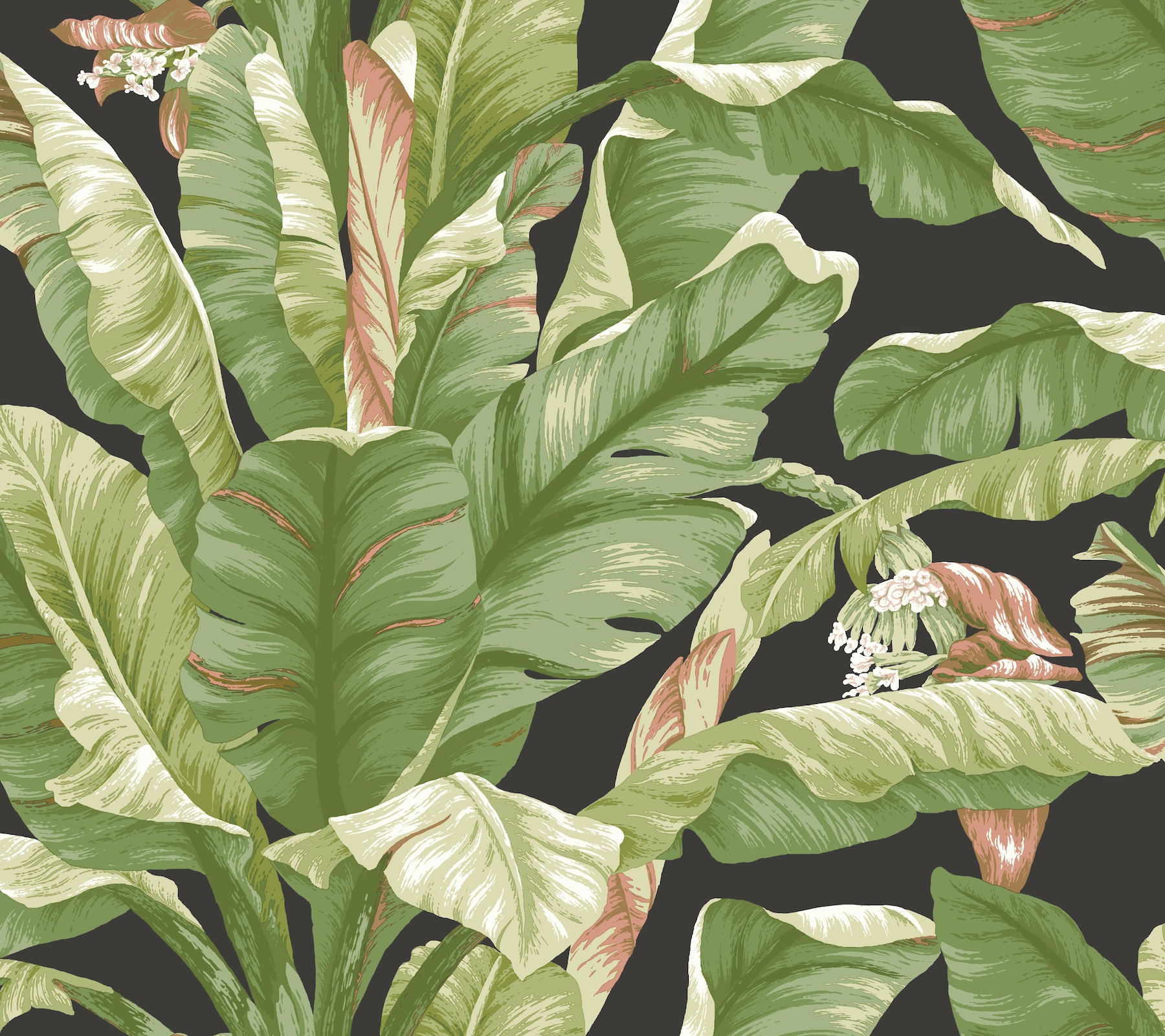 Buy Green Non Woven Fabric Banana Tree Wallpaper by Marshalls WallCoverings  Online  Natural  Floral Wallpapers  Wallpapers  Furnishings  Pepperfry  Product