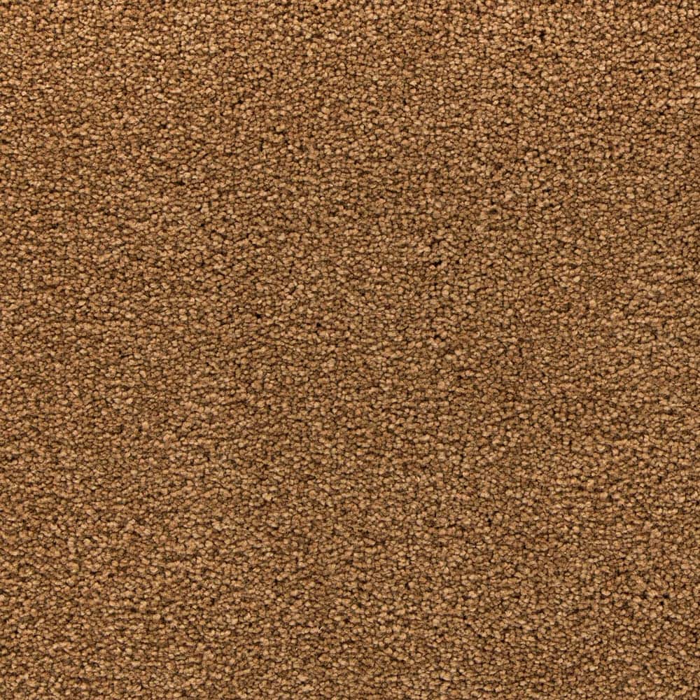STAINMASTER STP36-12-L010 Uptown Trend III Flax seed Brown 58-oz sq yard Polyester Textured Indoor Carpet