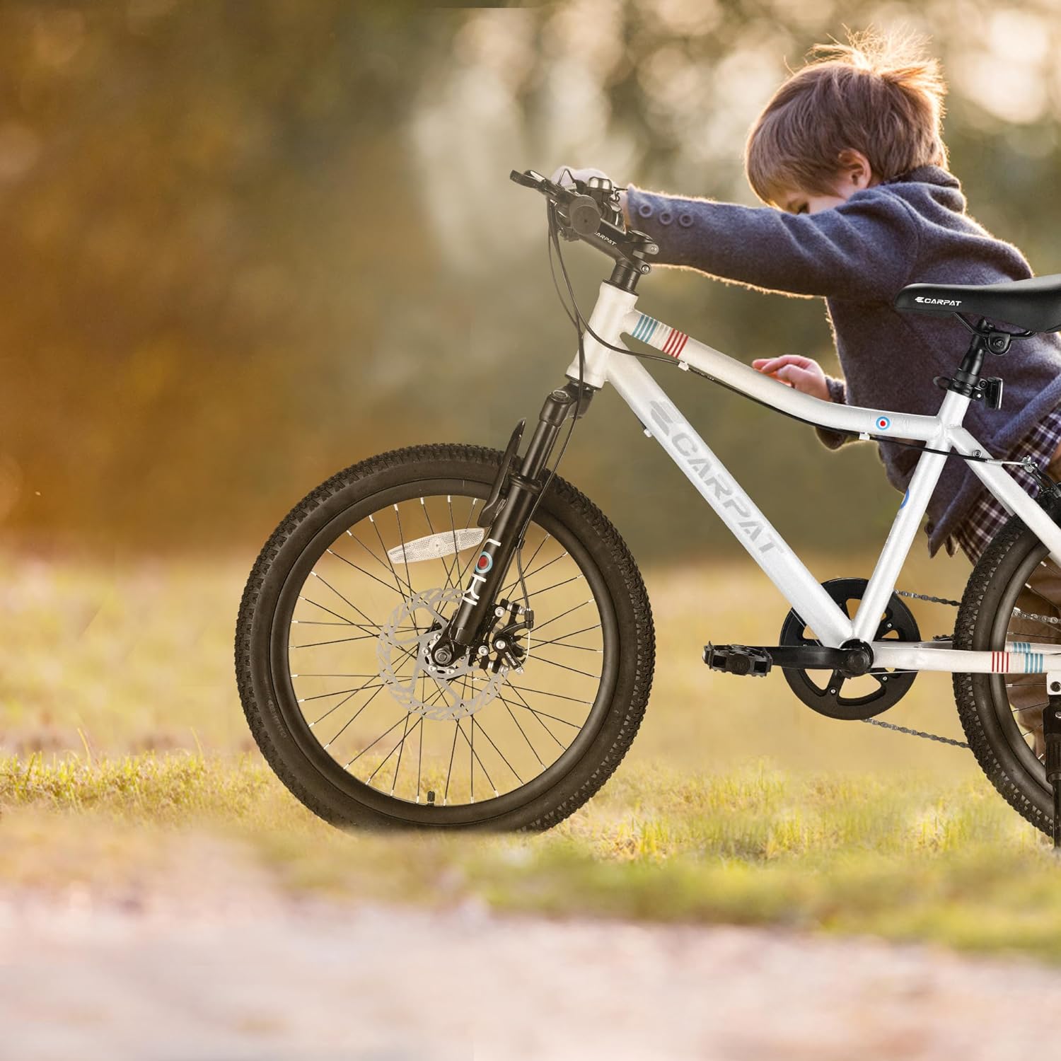 Xspracer ML-BI473 bikes - View #7
