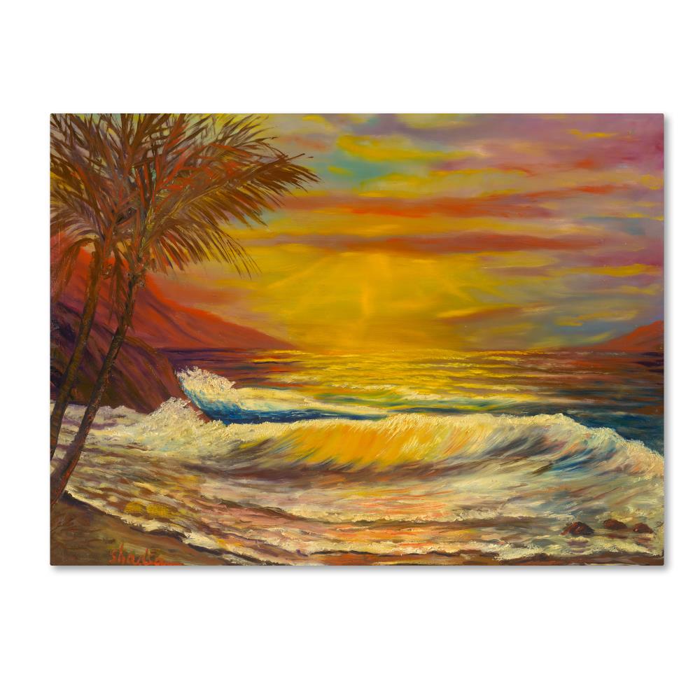 Trademark Fine Art MA0819-C2432GG Framed 24-Inches H x 32-Inches W Coastal Canvas Print