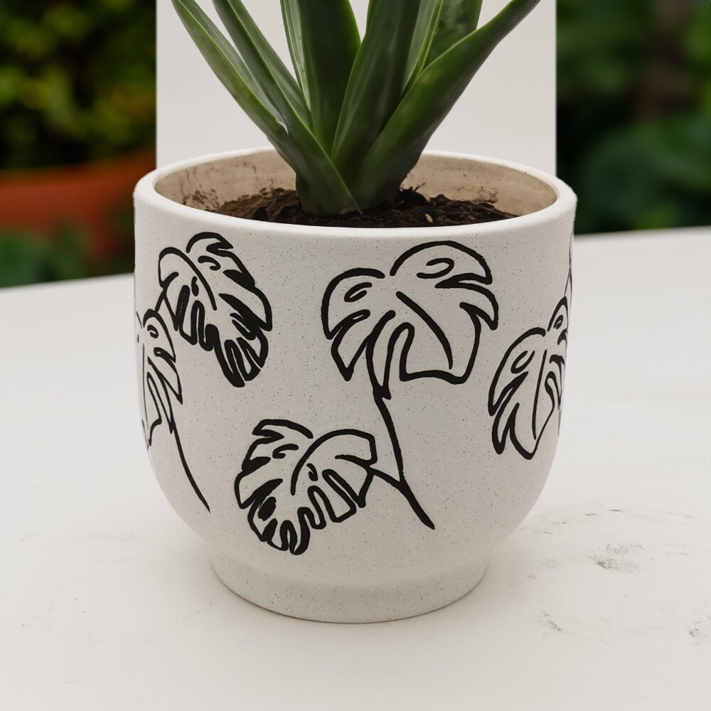 allen + roth LW24O21C029 Planter-Window-Box - View #7