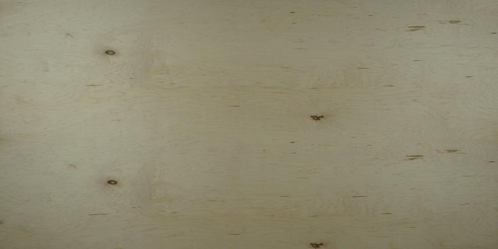  560706 3/4-in x 4-ft x 8-ft Maple Sanded Plywood