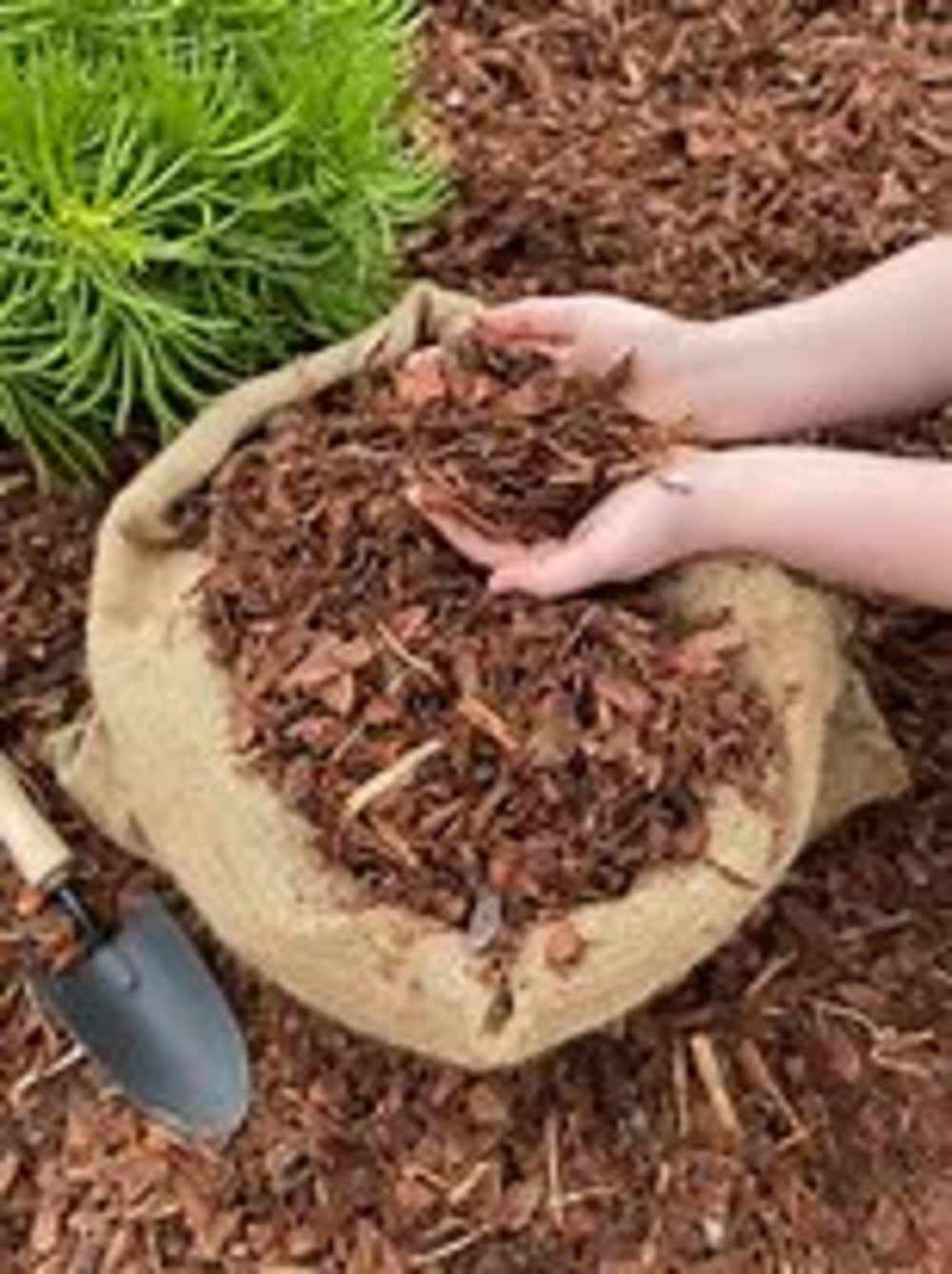 Premium Brown Pine Bark Mulch, 2 Cu Ft Bag, Small Nuggets, Controls ...