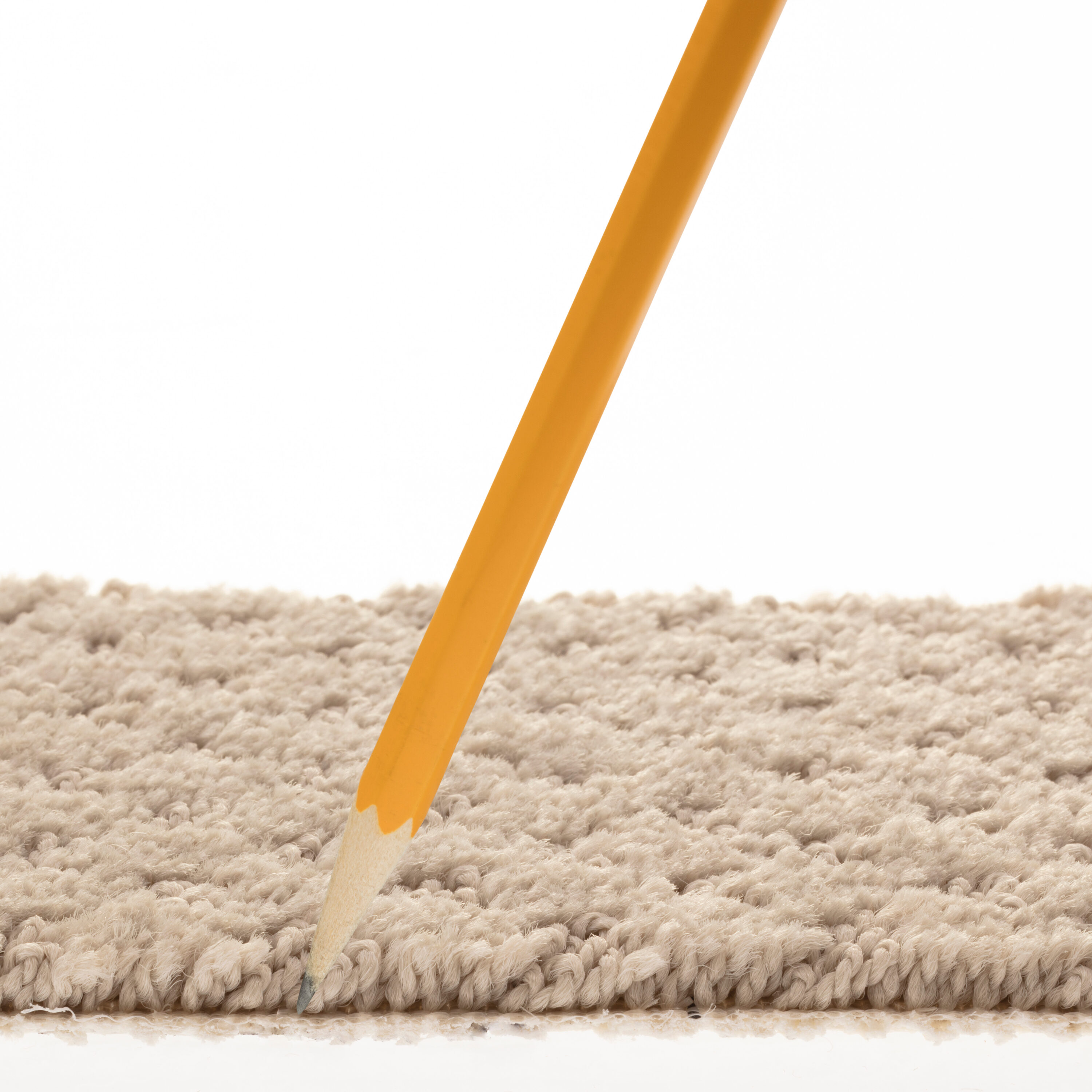 STAINMASTER PetProtect 7L899 - 552 - SAMP Carpet-Samples - View #7