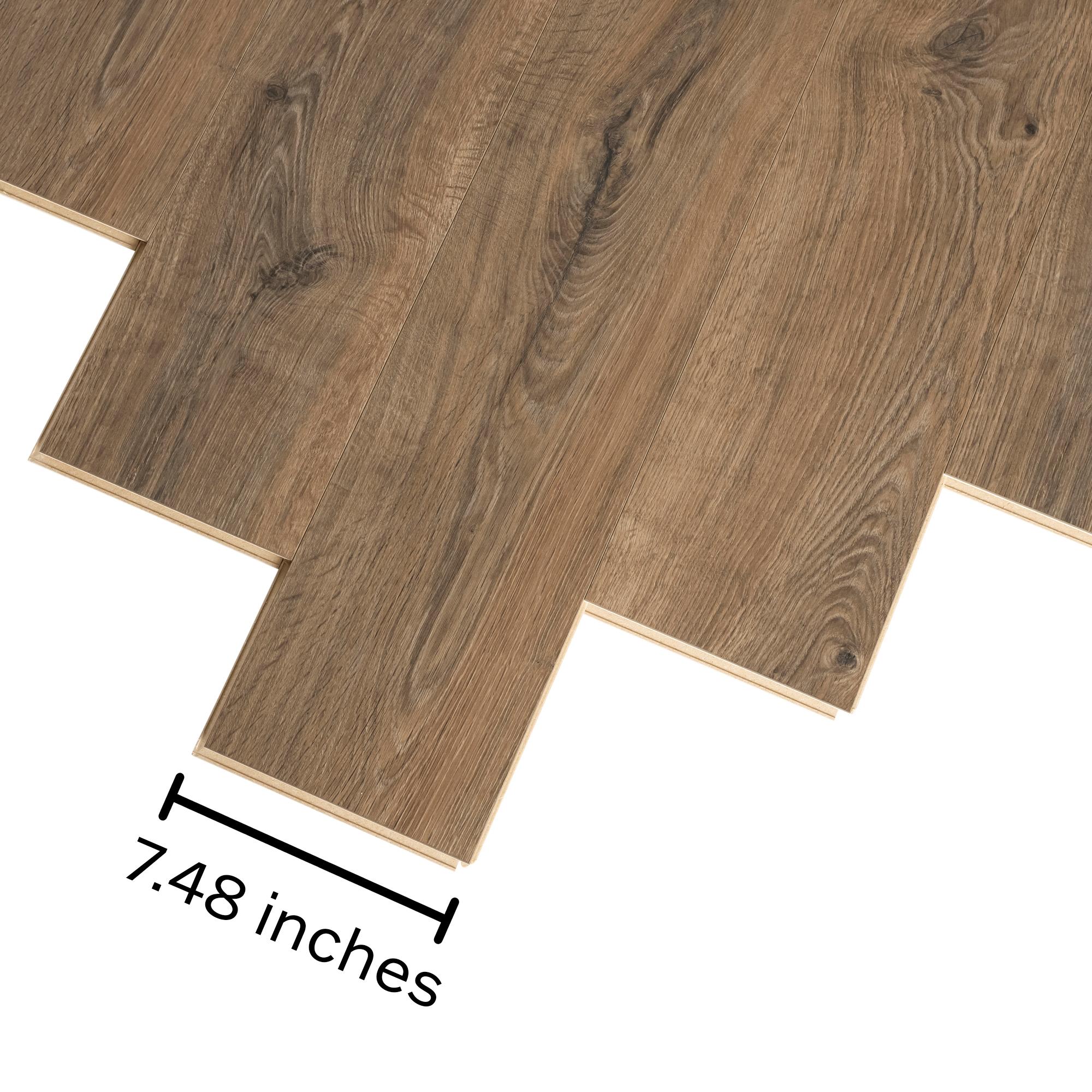 Pergo (Sample) Xtra Sample Dappled Oak Laminate Flooring in the Laminate  Samples department at