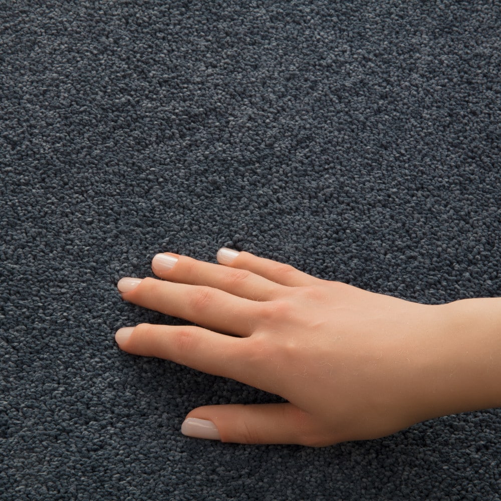 STAINMASTER PetProtect 7L970-402-SAMP Carpet-Samples - View #4