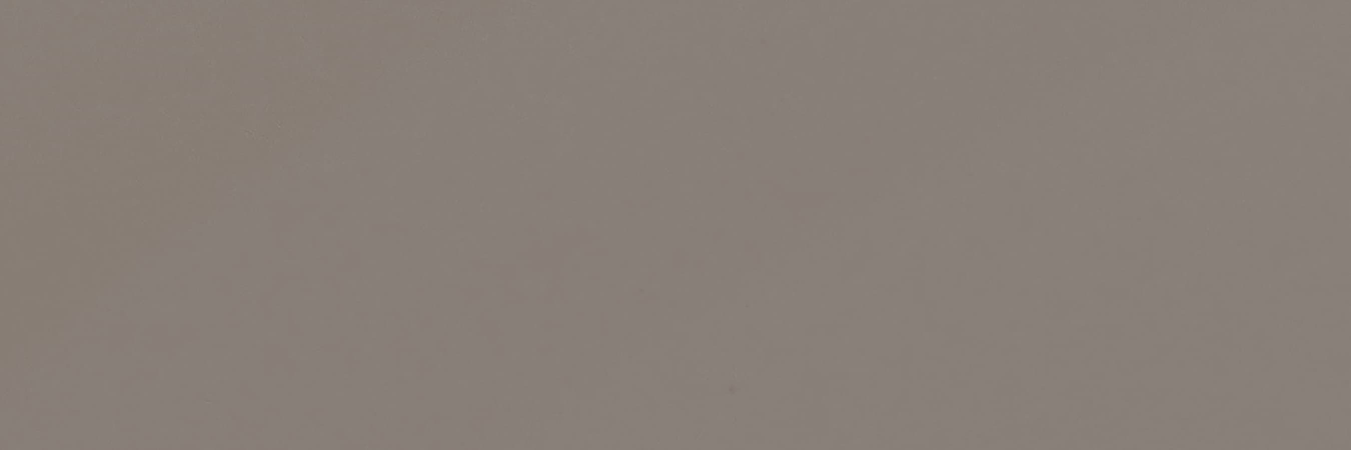 Emser F14CHOITA0206SBP CHOICE Taupe Ceramic Bullnose Tile (Common: 2-in x 6-in; Actual: 2-in x 6-in)