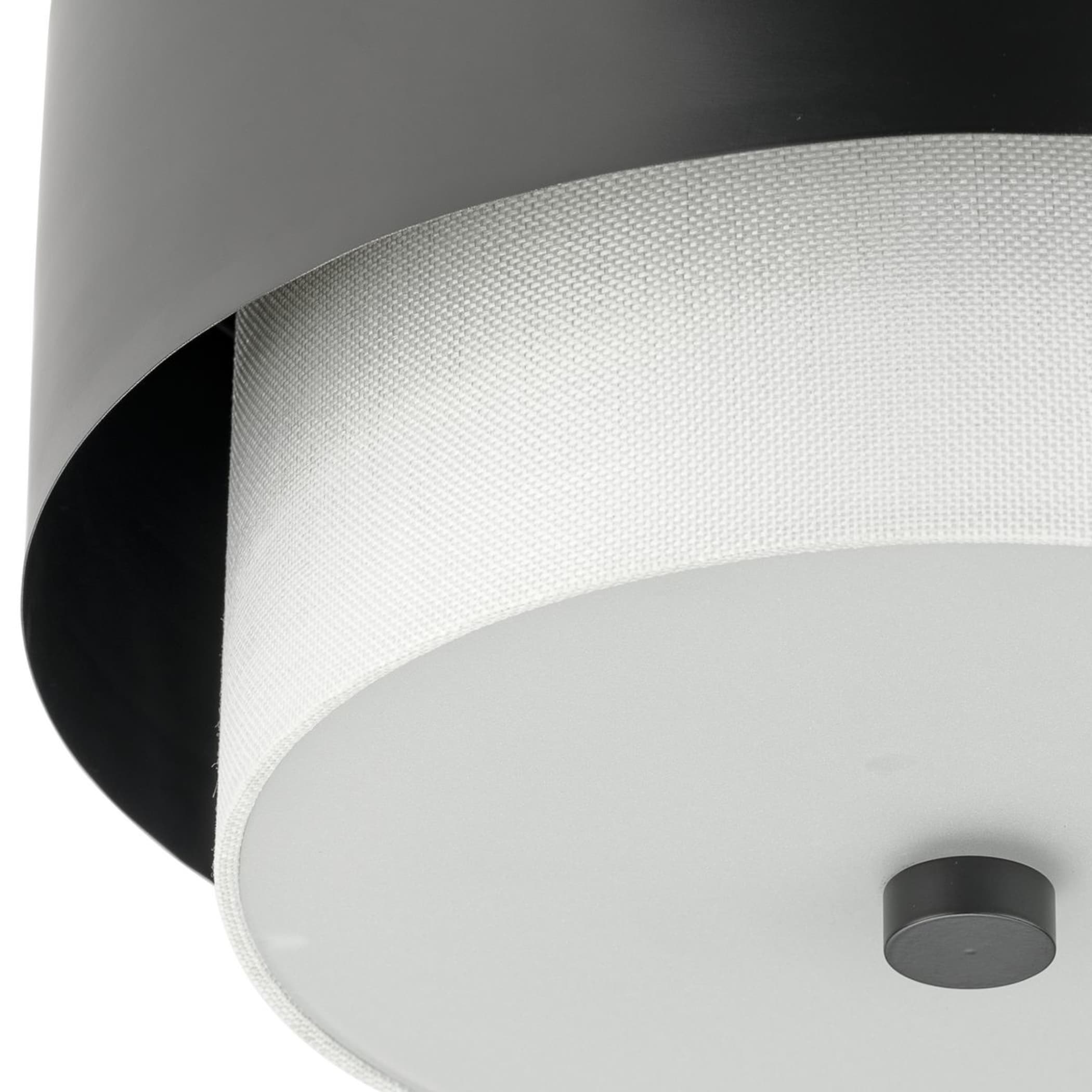 Progress Lighting P350249-31M flushmounts - View #5