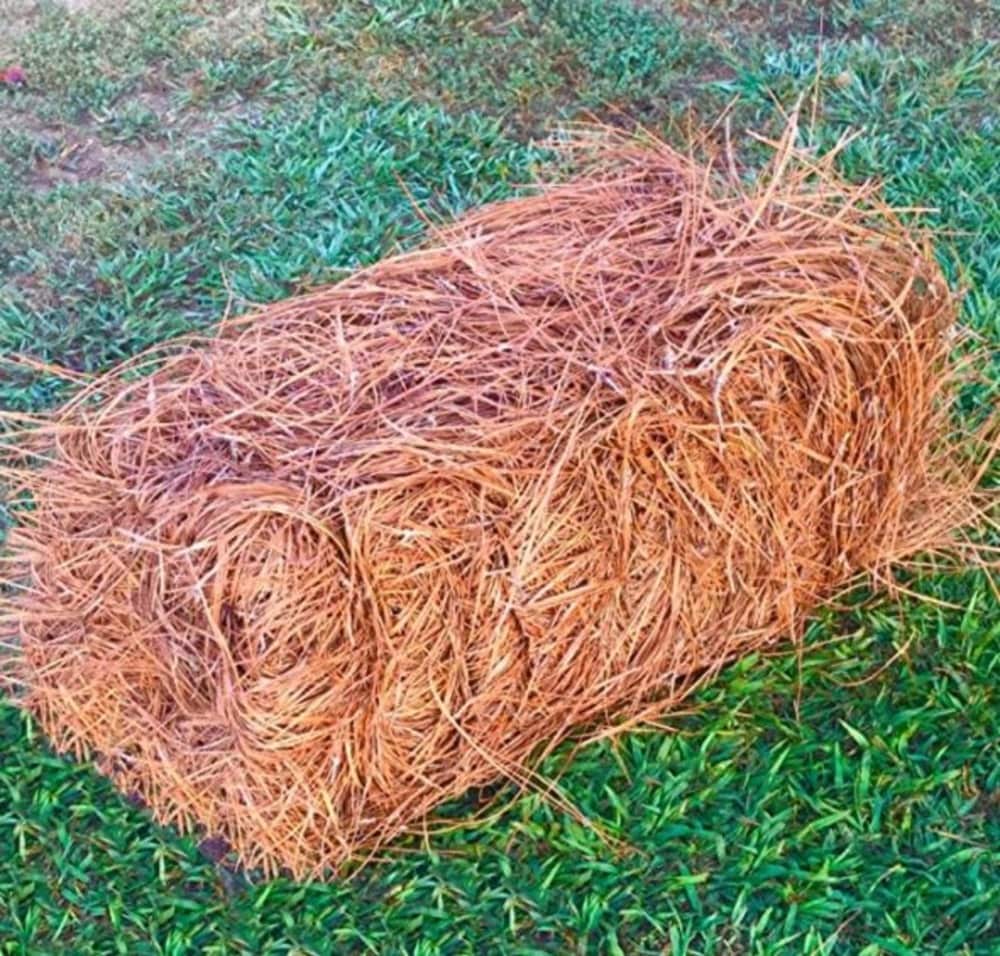 Ohio Mulch Pine Straw #385