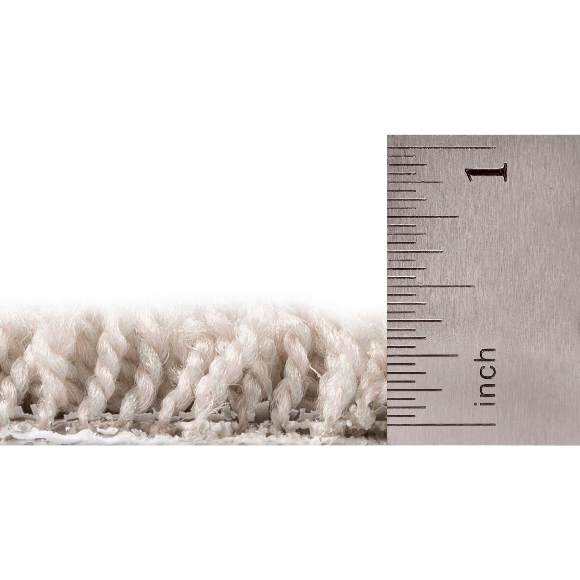 STAINMASTER PetProtect SS021-L012-0808 Carpet-Samples - View #5