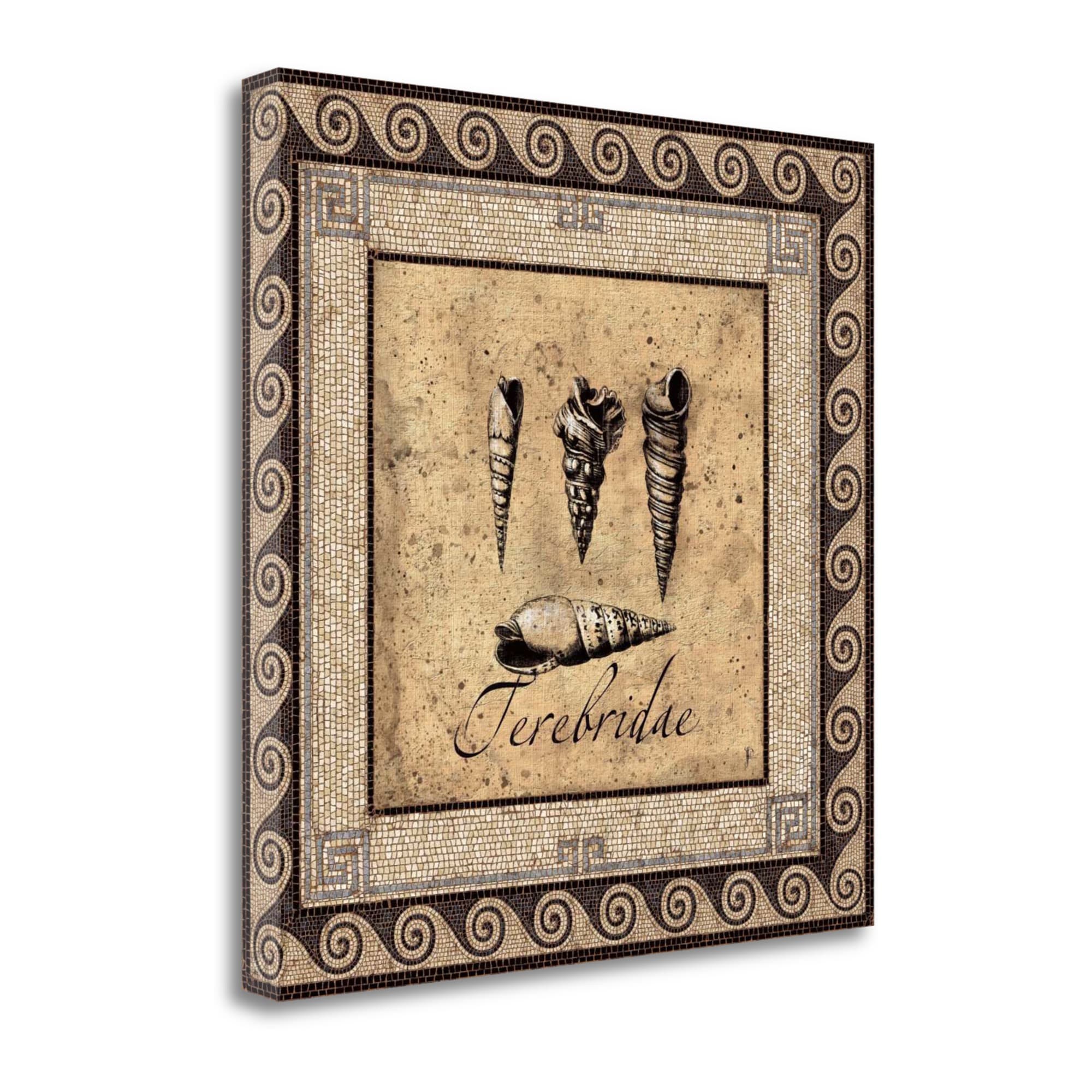 Tangletown Fine Art CAPPP125-2020C Shell Works Iv Paul Panossian 20-in H x 20-in W Coastal Print on Canvas