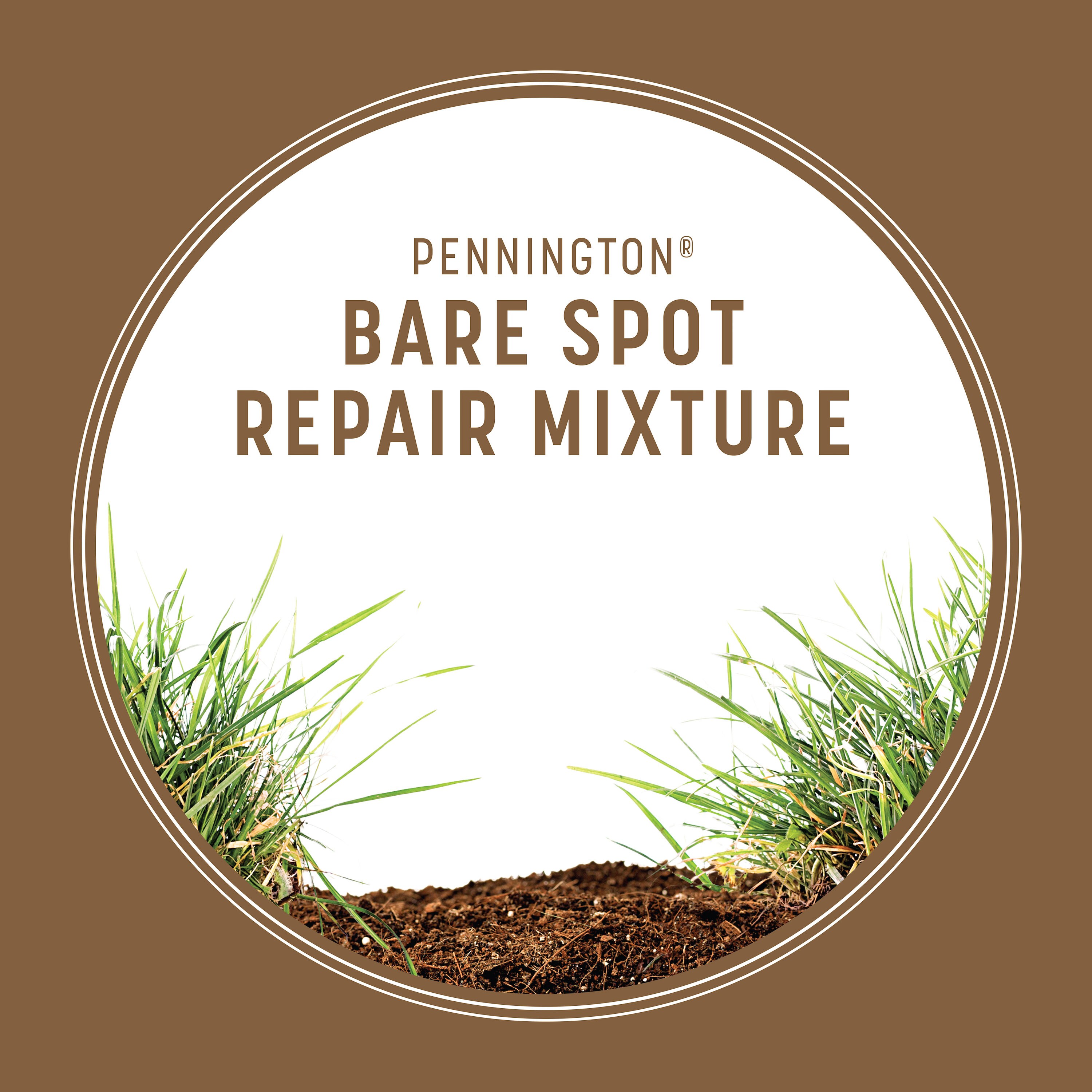 Pennington 2149602015 Lawn-Repair-Mix - View #4