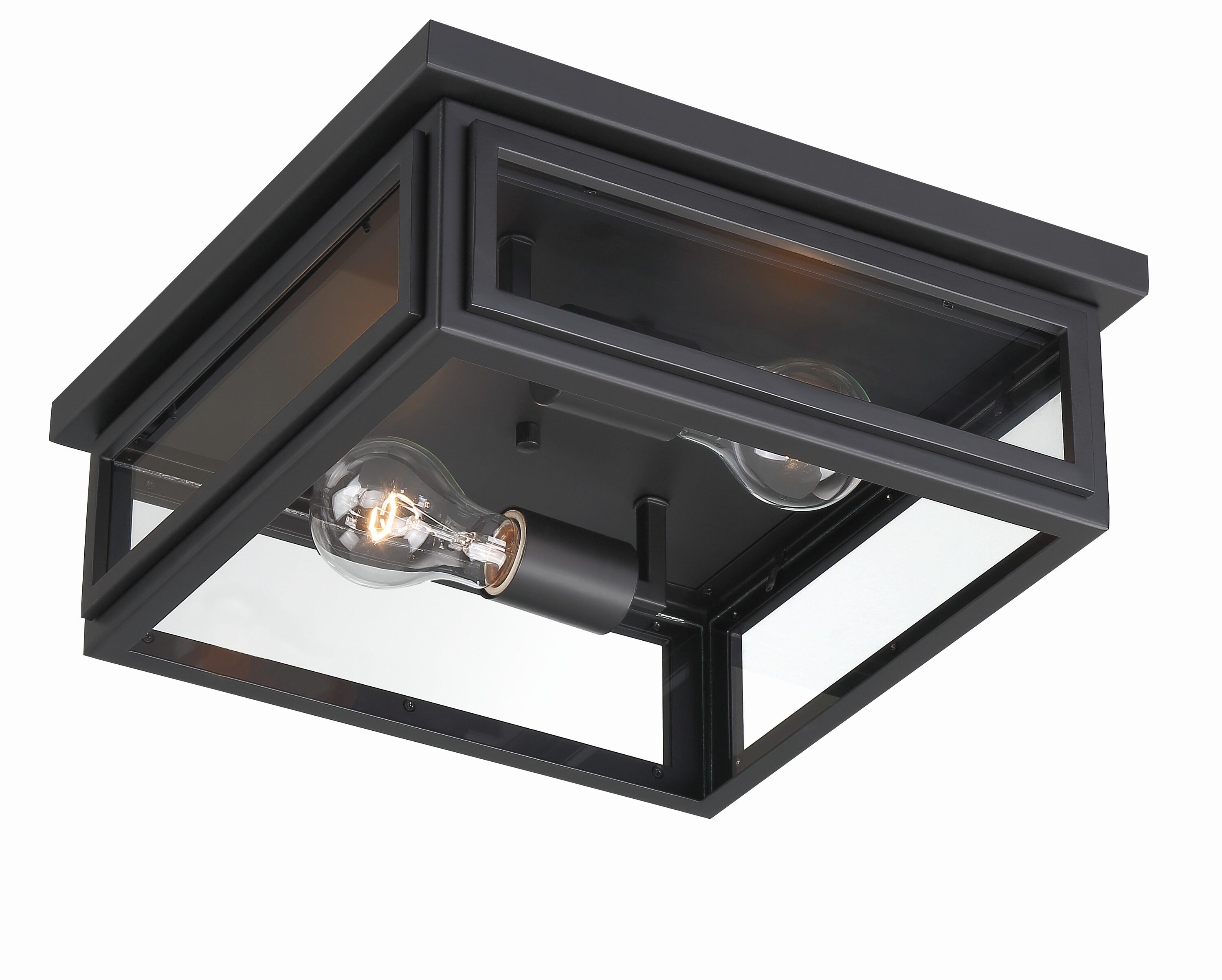 Matte Black and Clear Glass 2-Light Outdoor Flush Mount