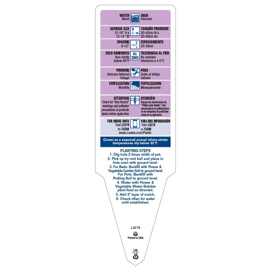 Lowe's 401192 annuals - View #3
