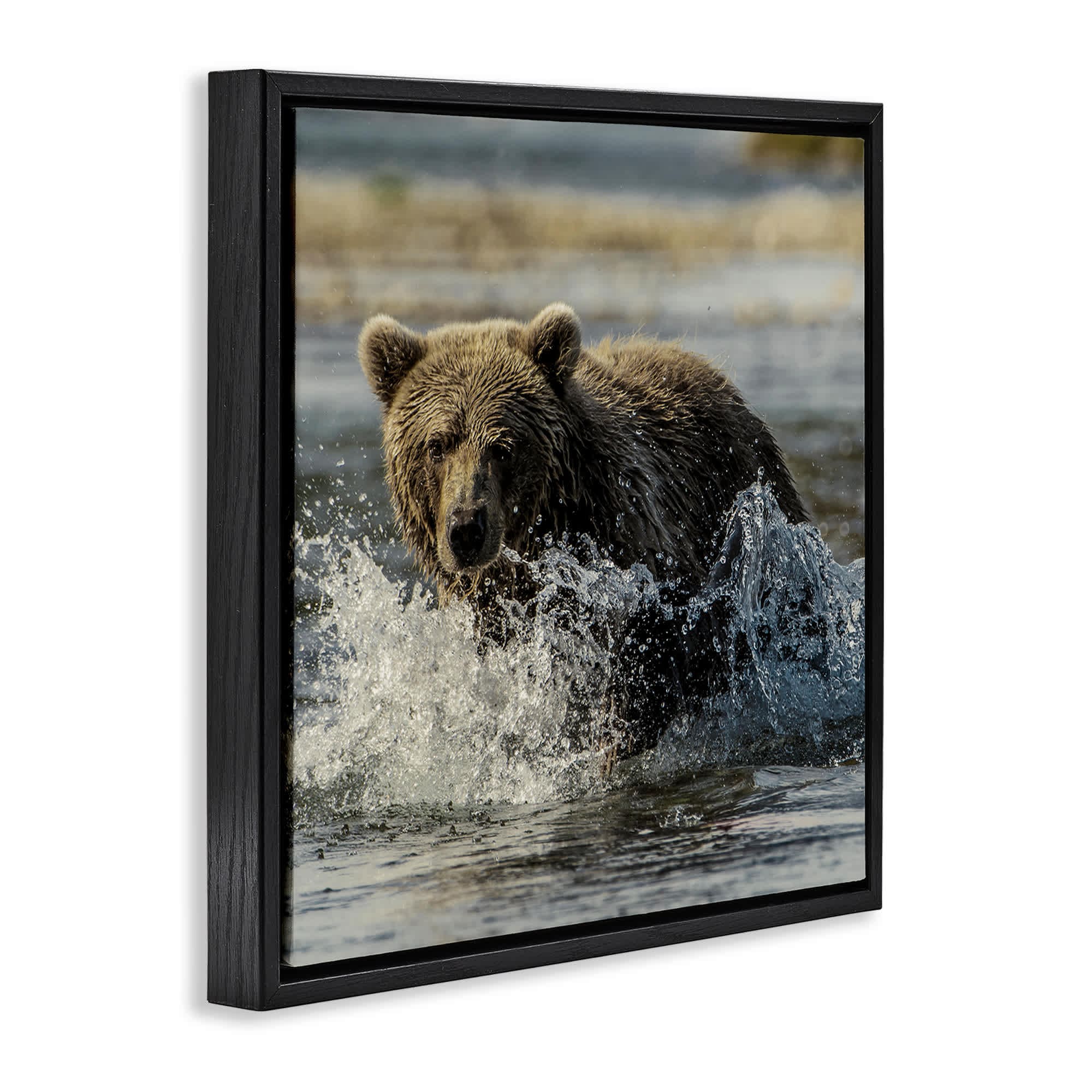 Stupell Industries BS-245-FFB-24X24 Wall-Art - View #2