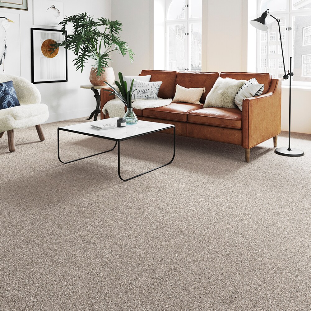 STAINMASTER STP57-12-L009 Carpet-Panel - View #3