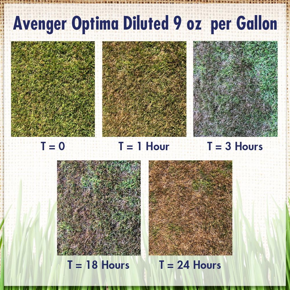 Avenger AVGR-OPTC32OZ-12 Weed-Killers - View #2