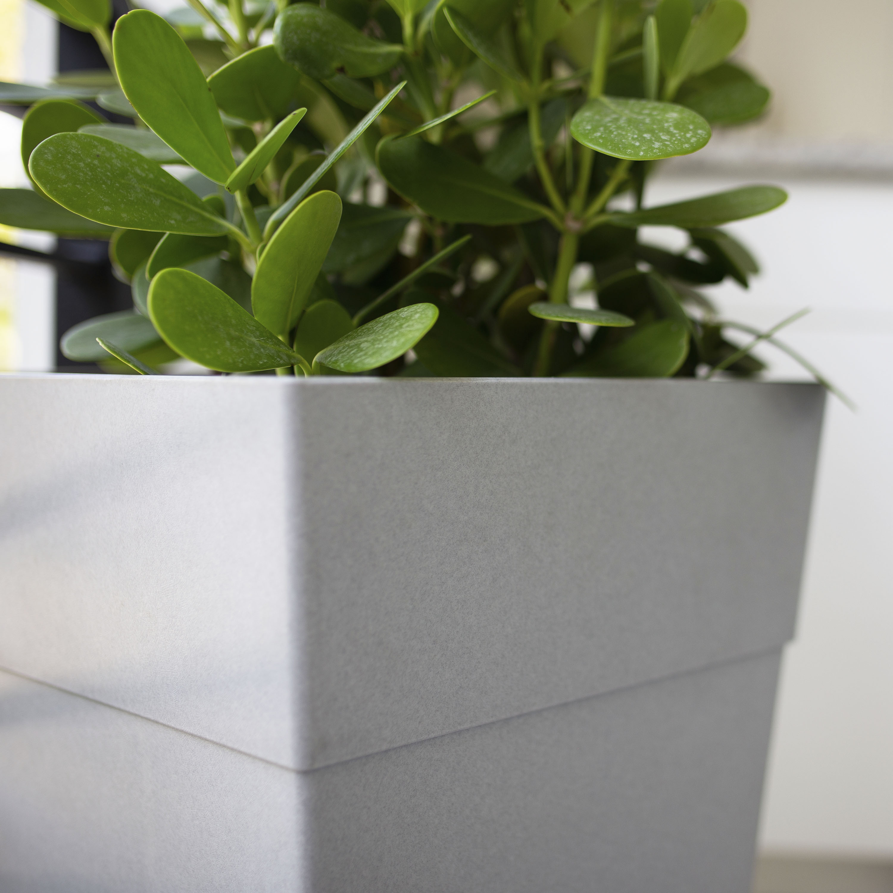 Bloem DCB-FPSMIX4 Planter-Window-Box - View #3