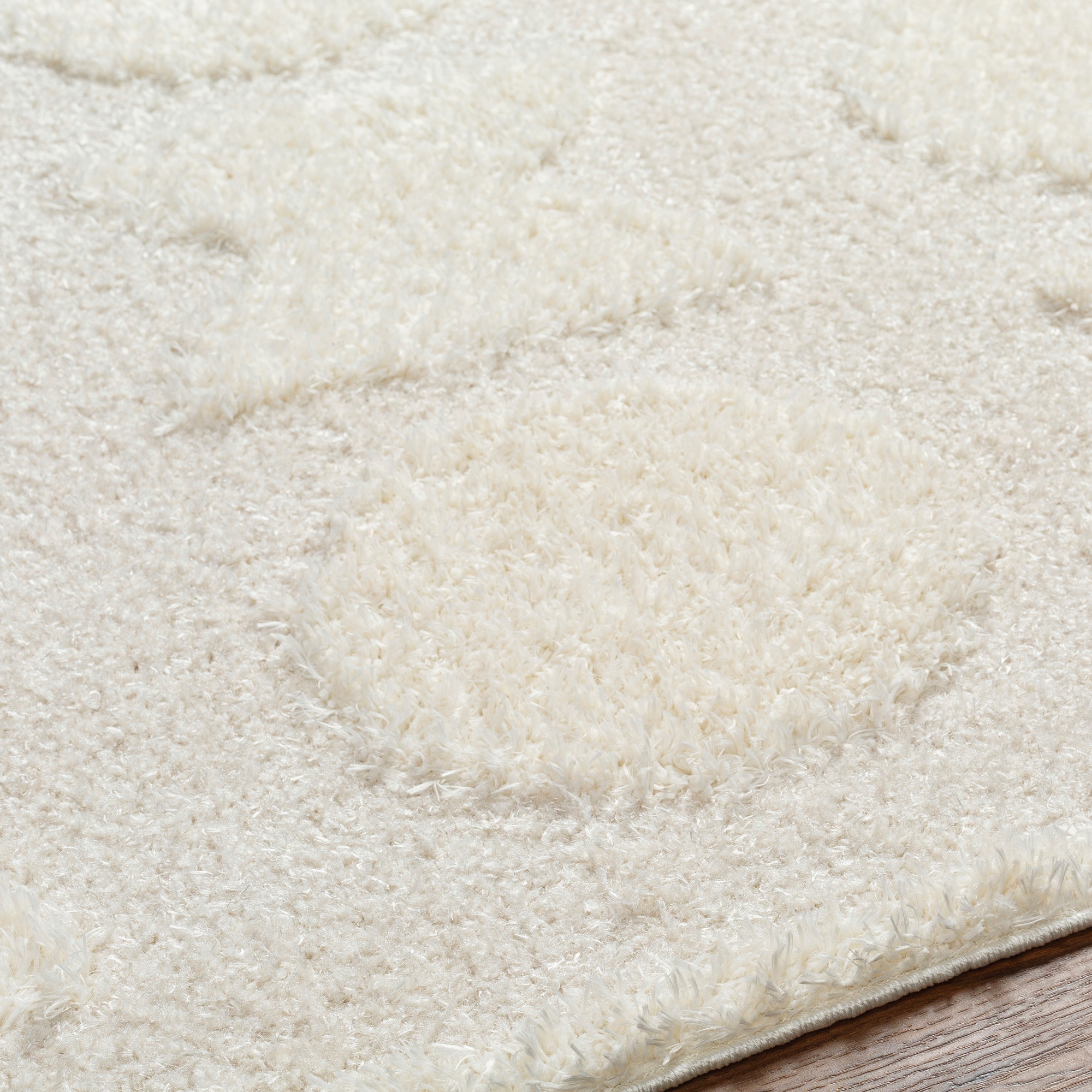 Livabliss RDO2322-679 rugs - View #4