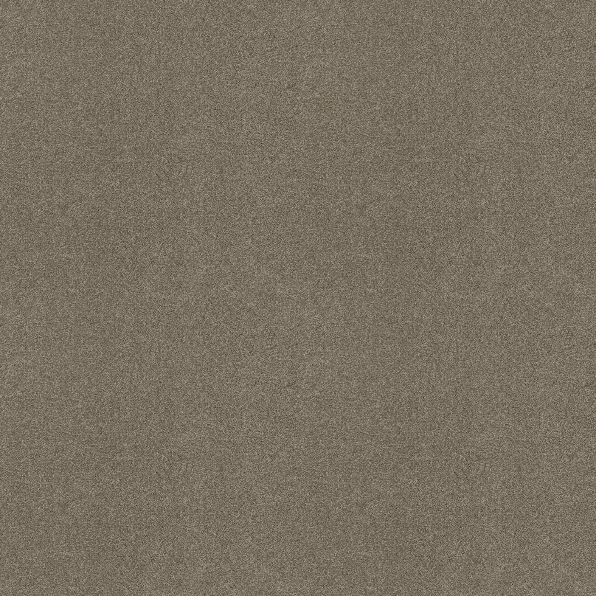 STAINMASTER PetProtect 7L89200520 Sweet Spot II 15-Ft Hidden Trail Brown 58.5-oz sq yard Nylon Textured Indoor Carpet