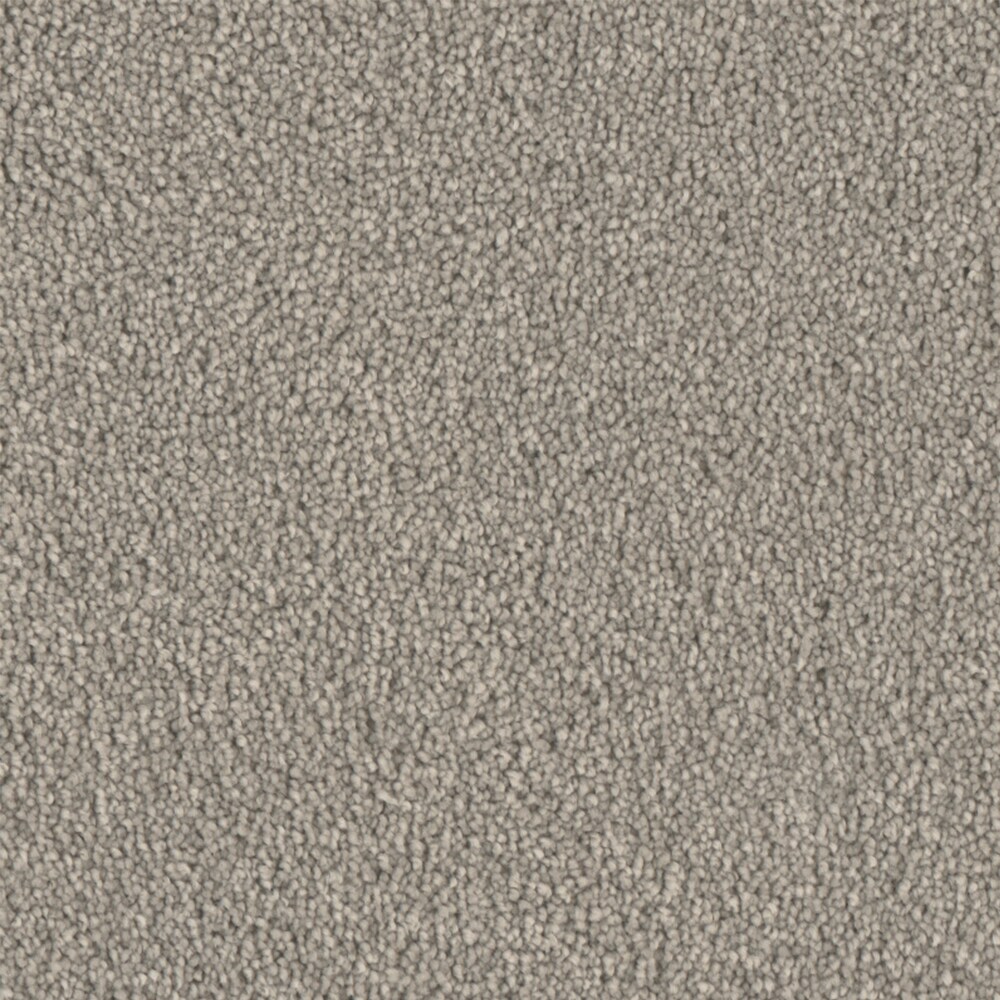 STAINMASTER S9165-722-S (Sample) Imagine Shape Multi-Colored 65-oz sq yard Polyester Textured Indoor Carpet