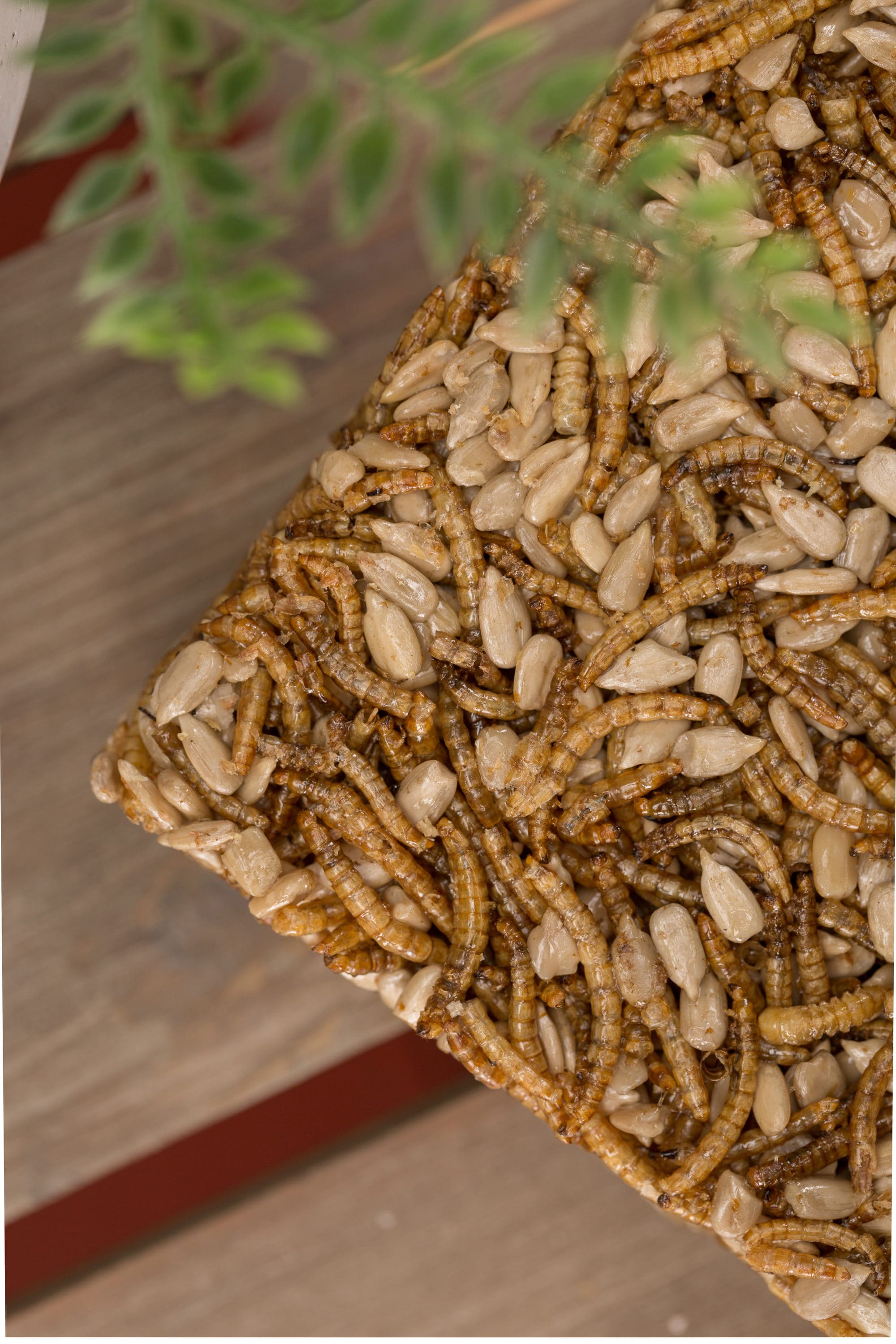 mealworm cake